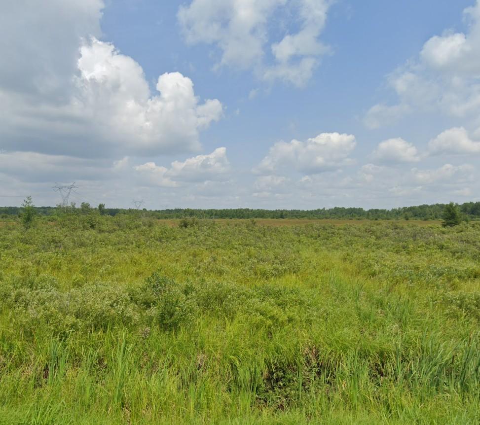 Homes for sale in Kettle River, MN | Xx County Rd 6, Kettle River, MN 55757 | MLS# 7004807