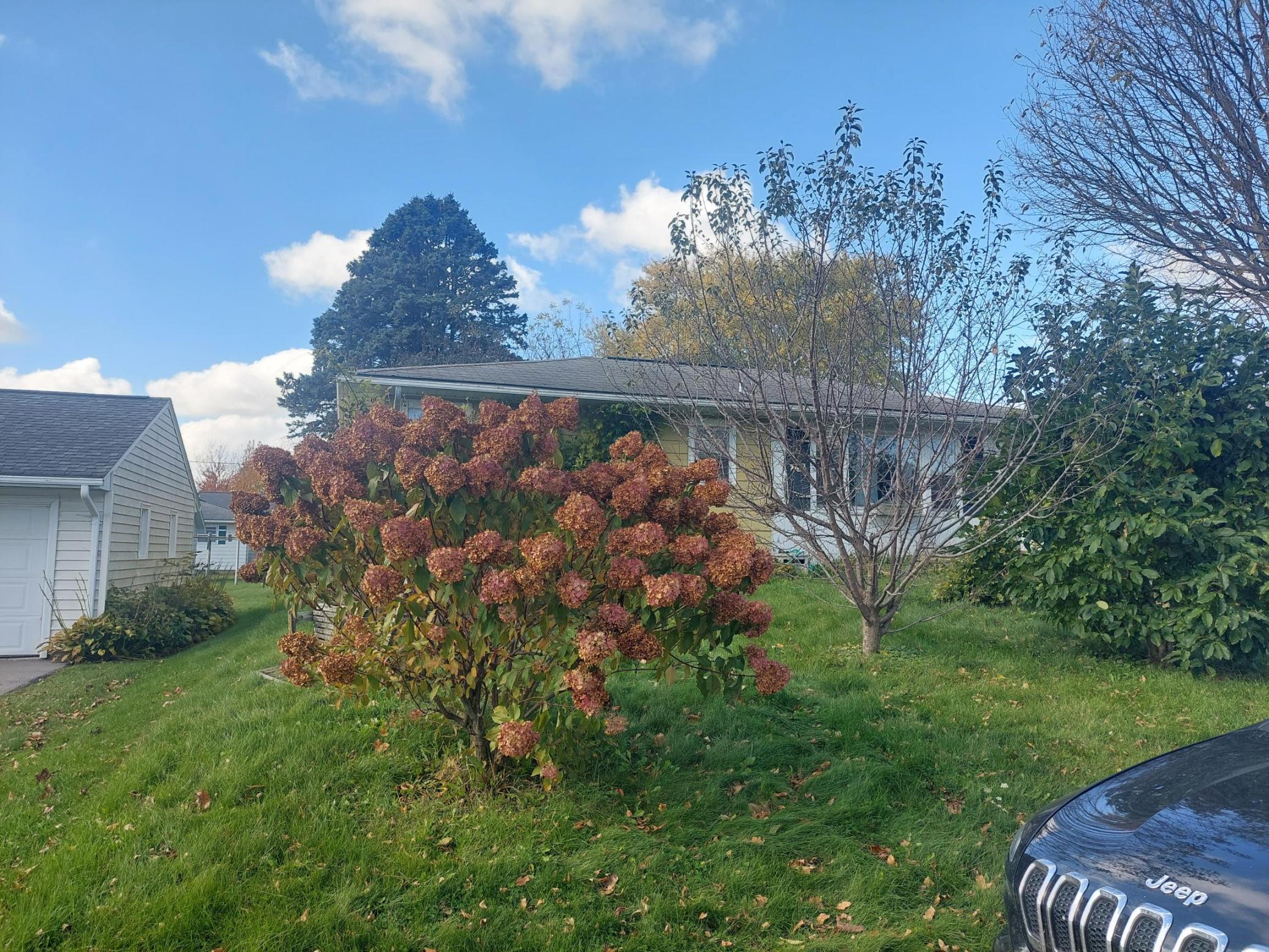 Homes for sale in Caledonia, MN | 309 N Badger St, Caledonia, MN 55921 | MLS# 7005188