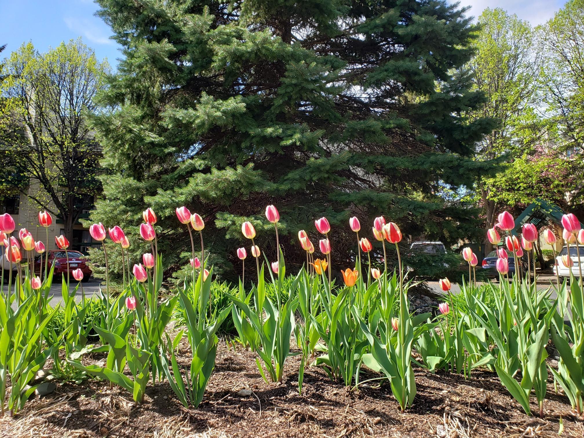 Homes for sale in Edina, MN | 7631 Edinborough Wy #5216, Edina, MN 55435 | MLS# 7011250