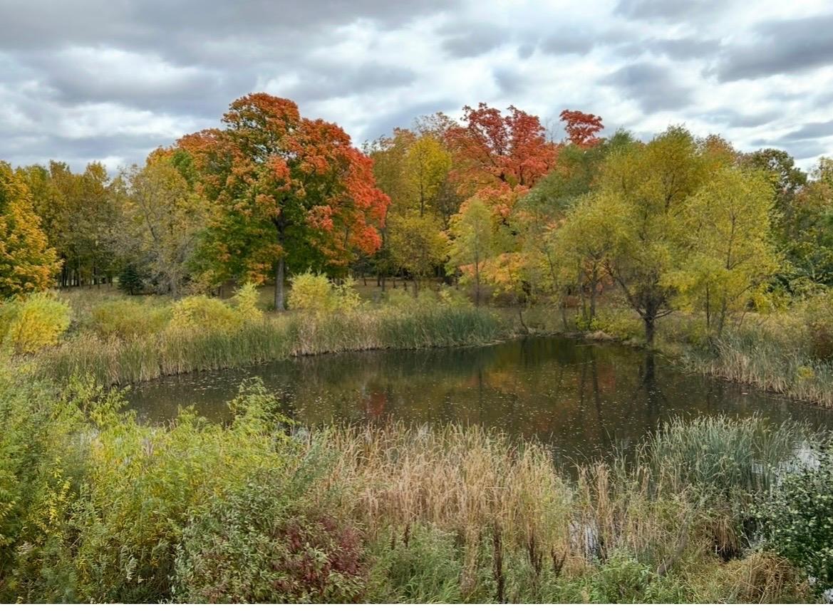 Homes for sale in Montrose, MN | 1096 Sunset Ave, Montrose, MN 55363 | MLS# 7012339