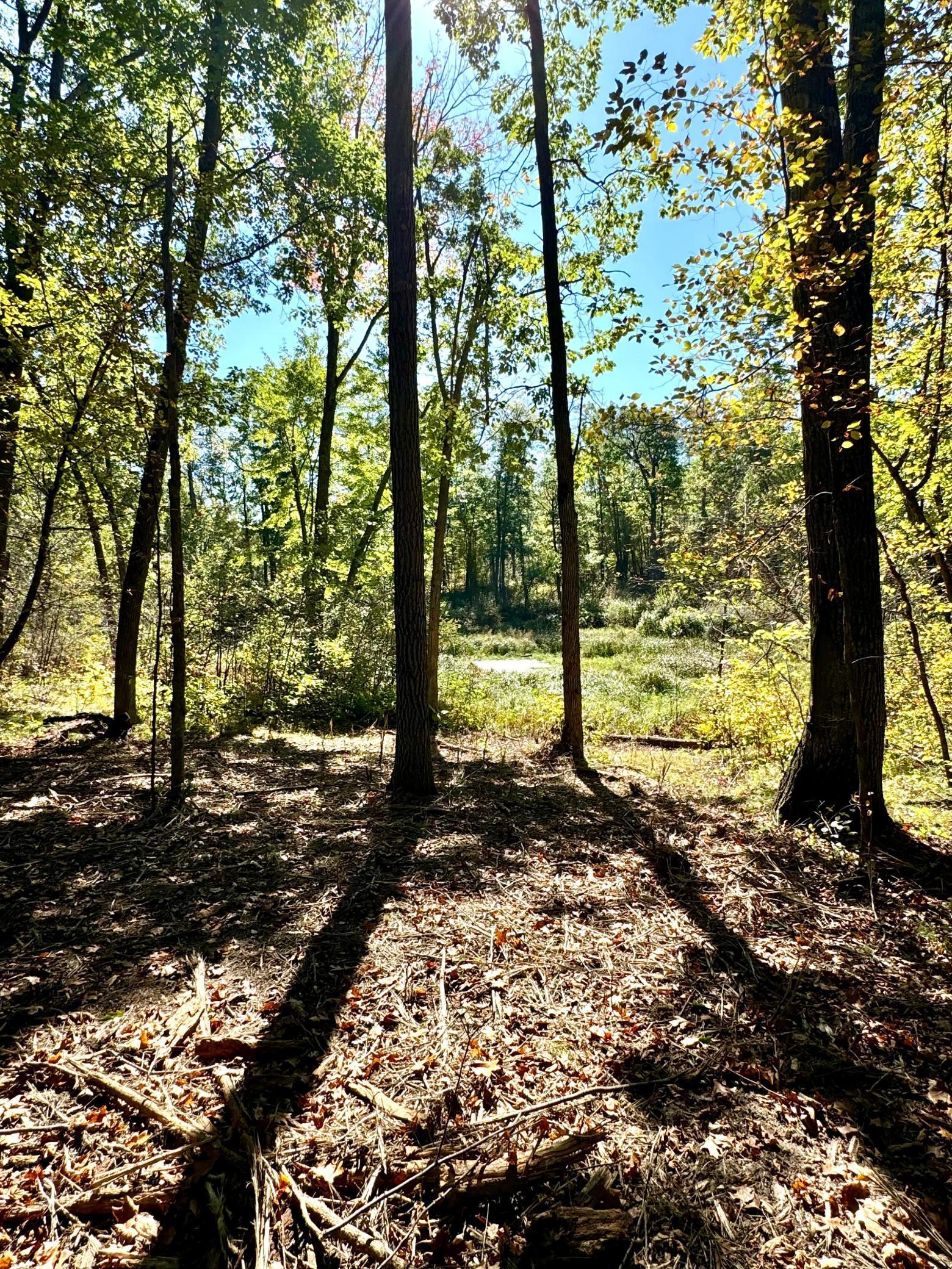 Homes for sale in Nisswa, MN | Tbd4 Winter Creek Ct, Nisswa, MN 56468 | MLS# 7012436
