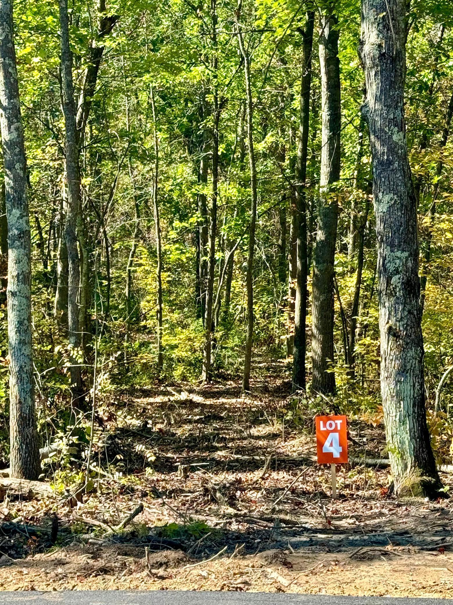 Homes for sale in Nisswa, MN | Tbd4 Winter Creek Ct, Nisswa, MN 56468 | MLS# 7012436