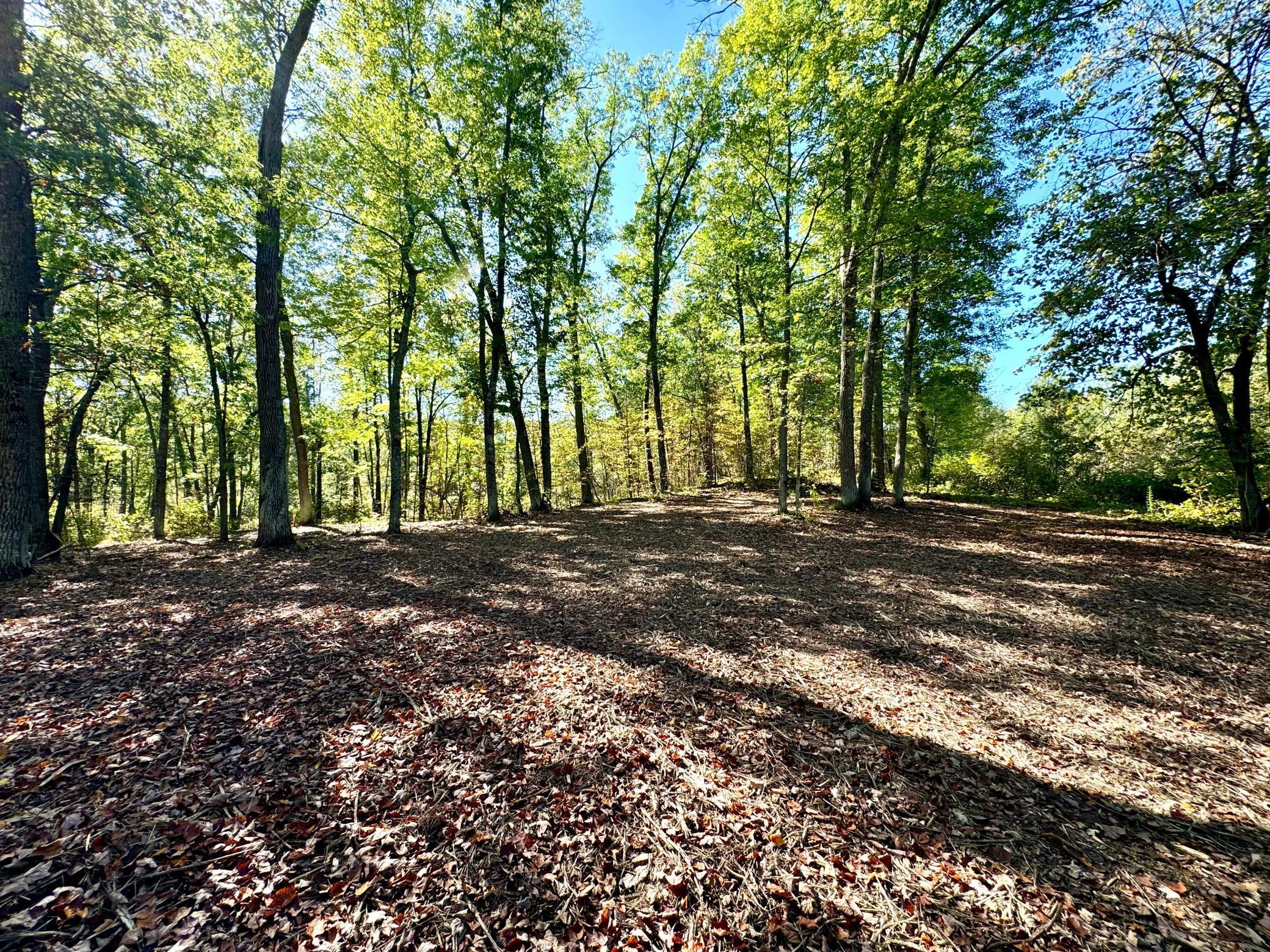 Homes for sale in Nisswa, MN | Tbd5 Winter Creek Ct, Nisswa, MN 56468 | MLS# 7012437