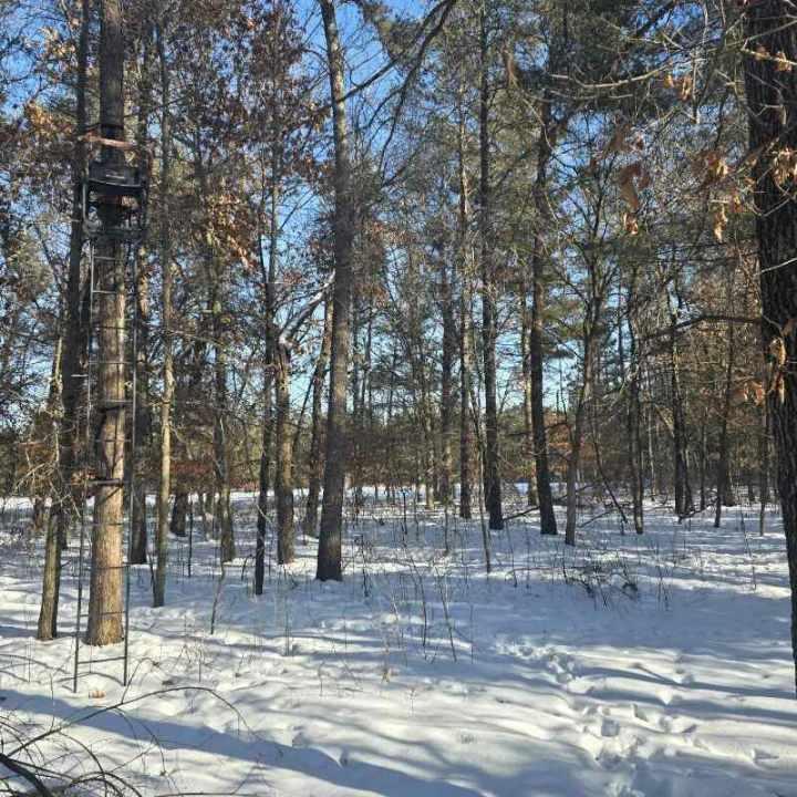 Homes for sale in Grantsburg, WI | Tbd W River Rd, Grantsburg, WI 54840 | MLS# 7013040