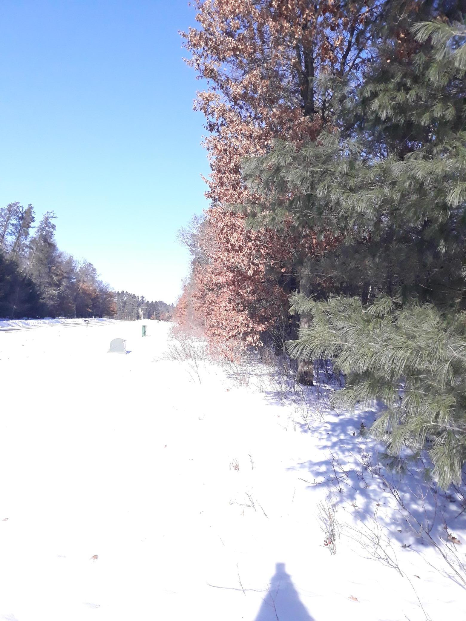 Homes for sale in Grantsburg, WI | Tbd W River Rd, Grantsburg, WI 54840 | MLS# 7013040