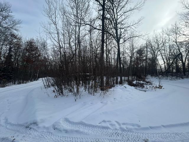 Homes for sale in Deer River, MN | 49128 Sandy Oak Dr, Deer River, MN 56636 | MLS# 7013135