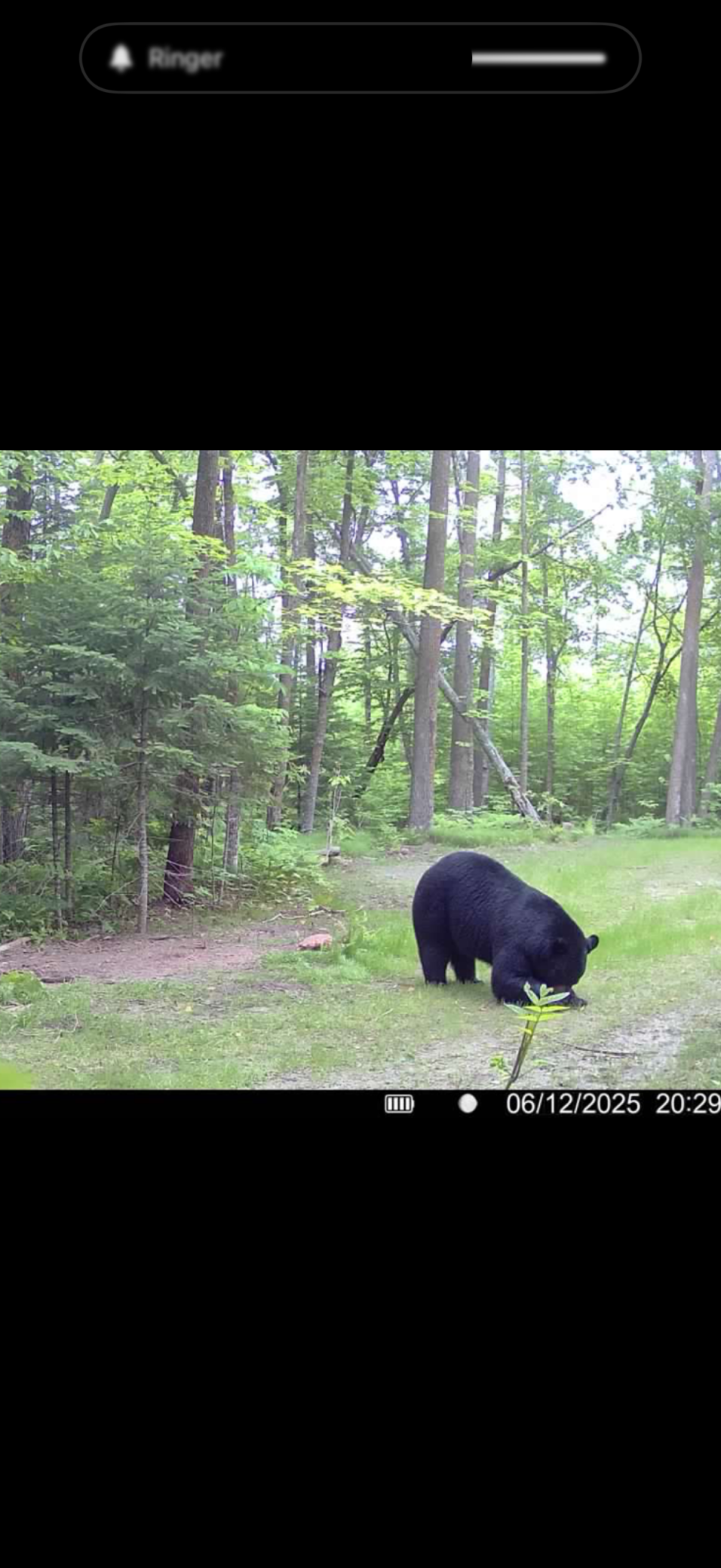 Homes for sale in Hill City, MN | 67246 340th Ave, Hill City, MN 55748 | MLS# 7013767