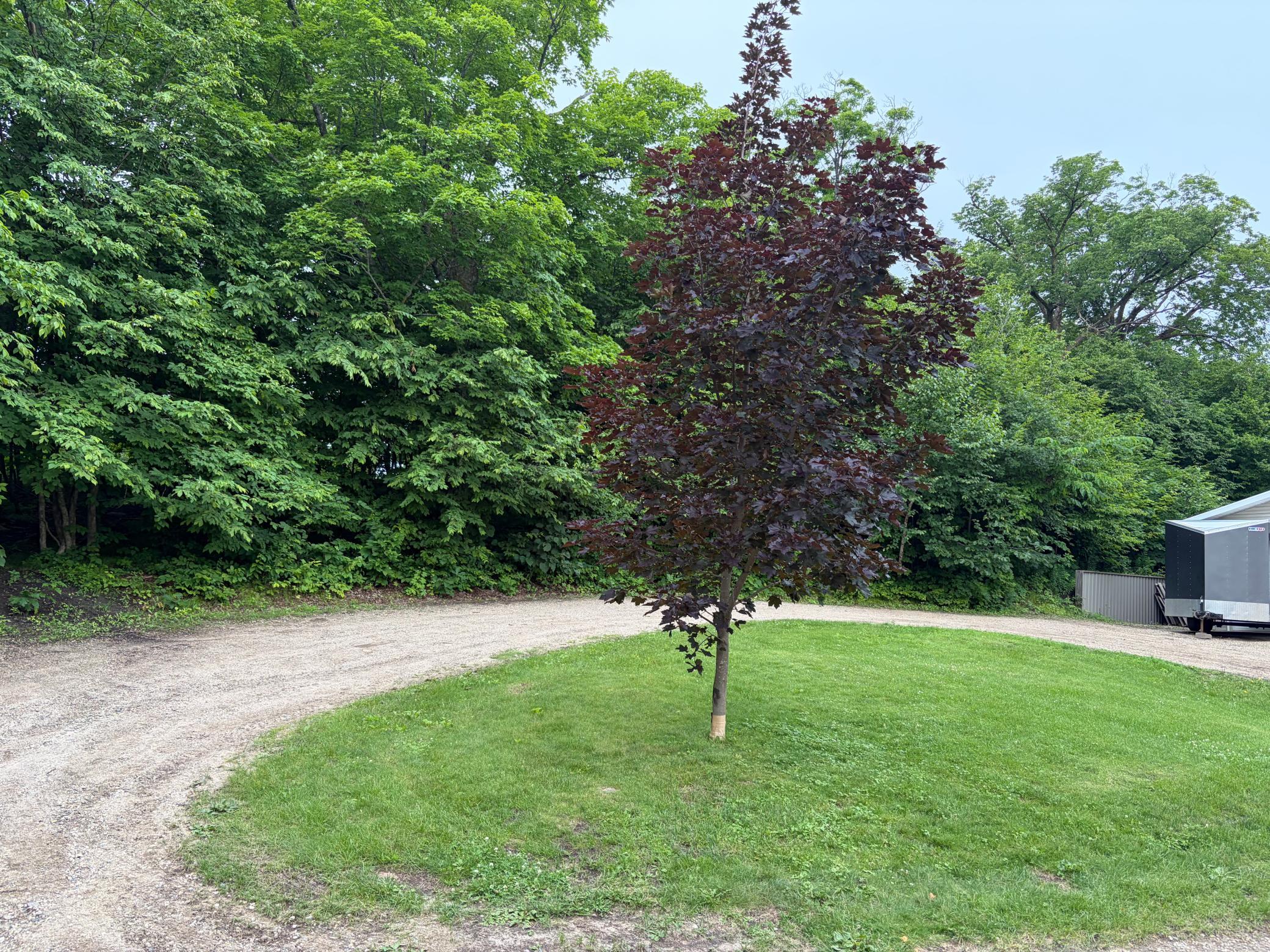 116th image of 33003 County Hwy 27, Erhard, MN 56534 | MLS# 7013890