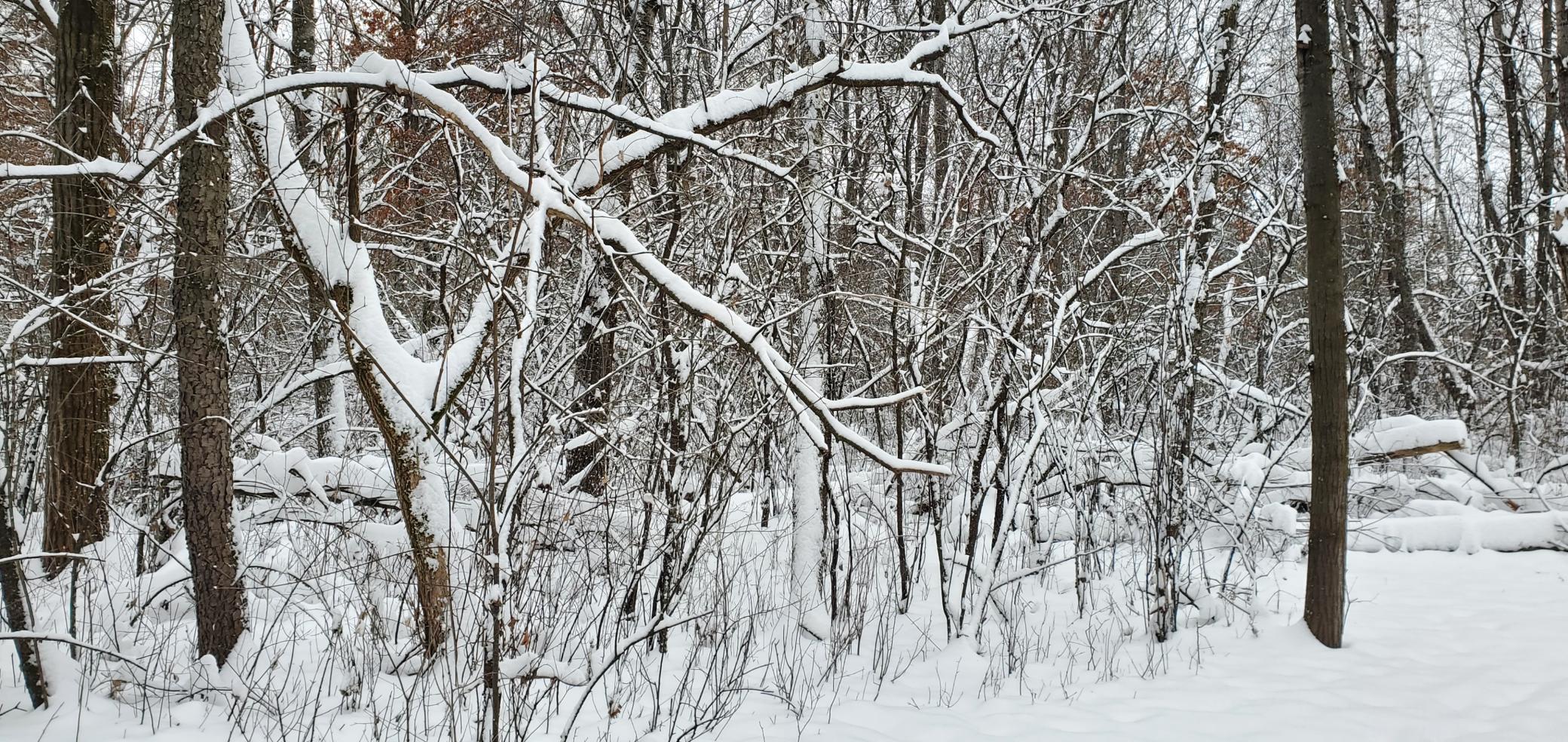 Homes for sale in Somerset, WI | Tbd 50Th St, Somerset, WI 54025 | MLS# 7014119