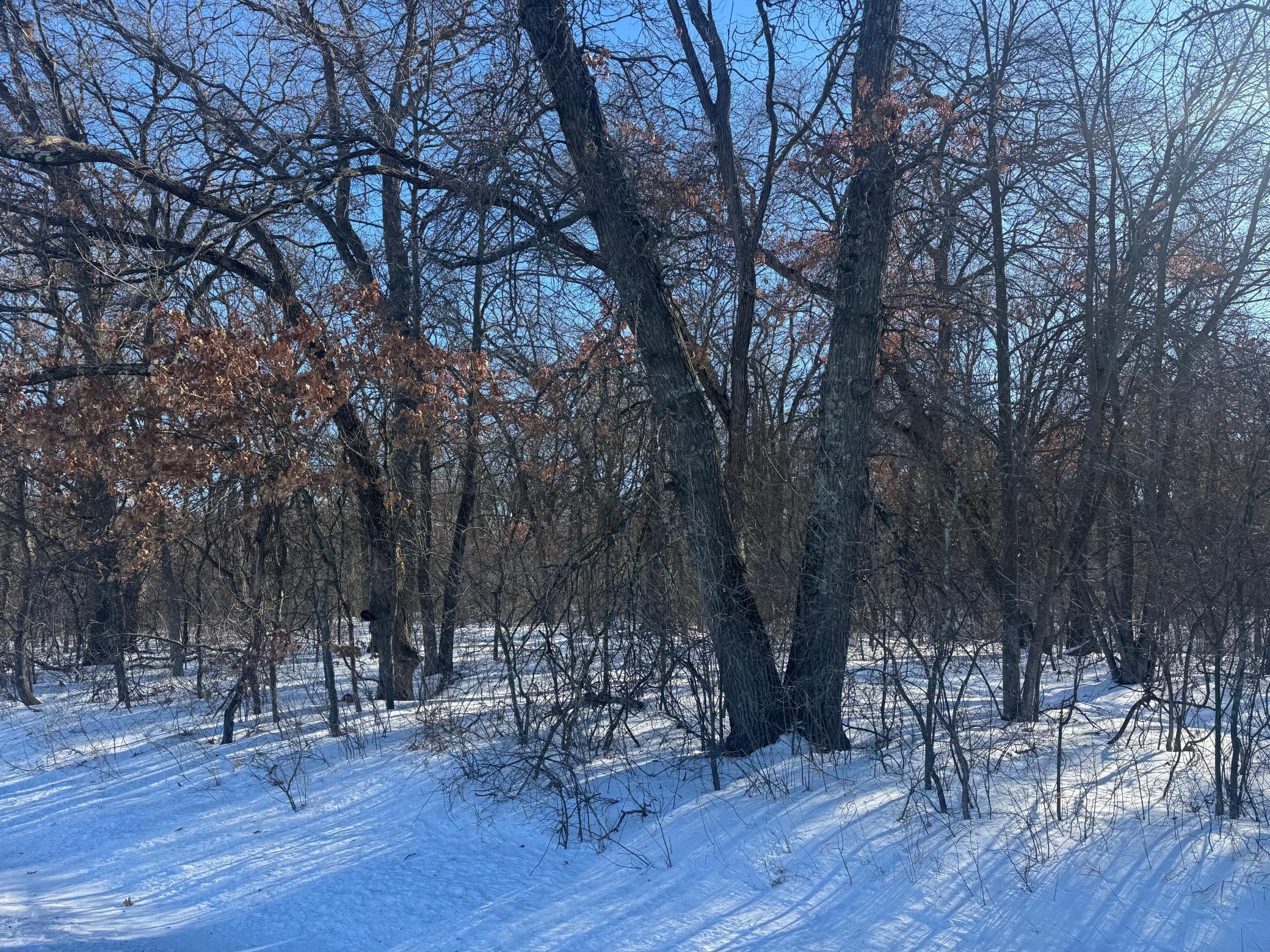 Homes for sale in Princeton, MN | 11Xxx 313Th Ave, Princeton, MN 55371 | MLS# 7014344