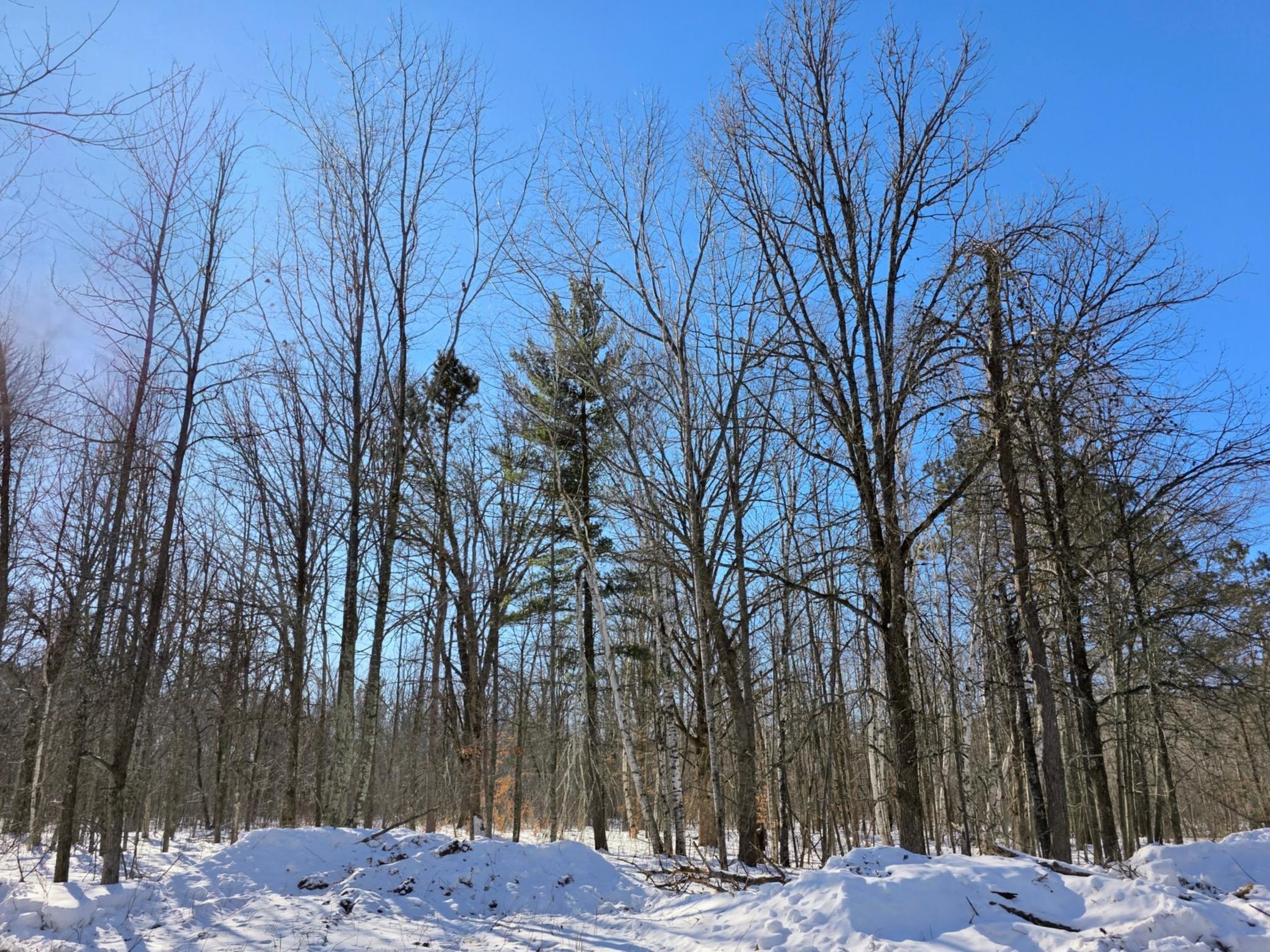 Homes for sale in Willow River, MN | Tbd County Road 43, Willow River, MN 55795 | MLS# 7015232