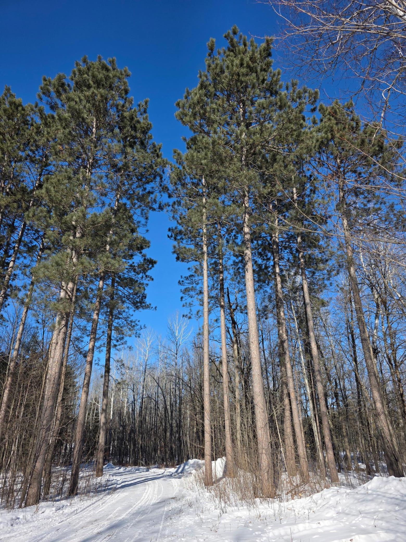 Homes for sale in Willow River, MN | Tbd County Road 43, Willow River, MN 55795 | MLS# 7015232