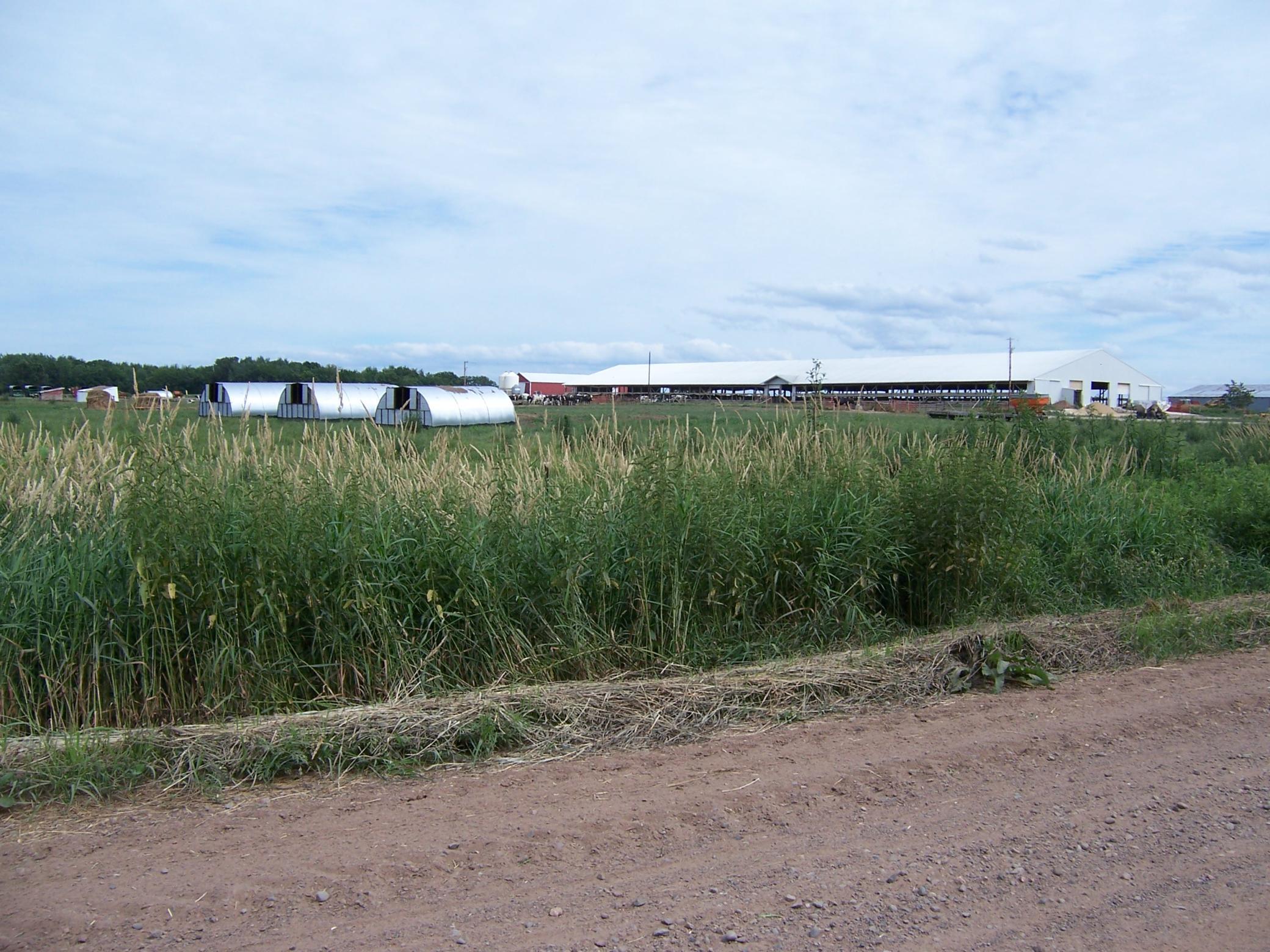 Homes for sale in Rush City, MN | 54479 Fairfield Ave, Rush City, MN 55069 | MLS# 7016515