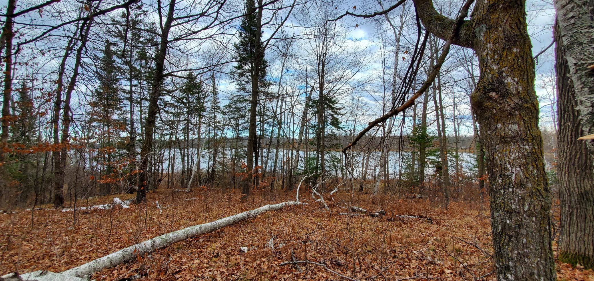 4th image of Tbd - Parcel B Ticonderoga Trl, Hackensack, MN 56452 | MLS# 7017416