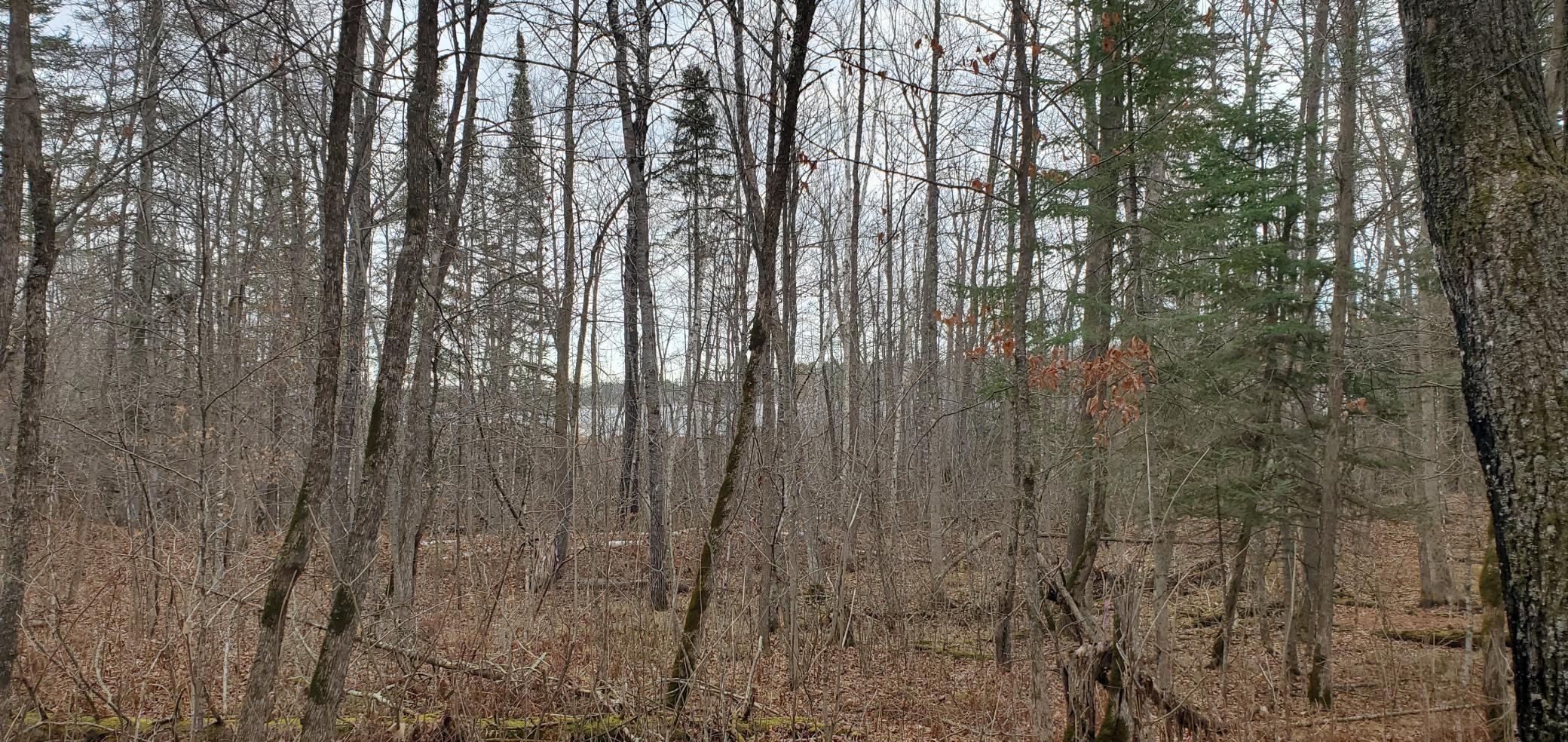 5th image of Tbd - Parcel B Ticonderoga Trl, Hackensack, MN 56452 | MLS# 7017416