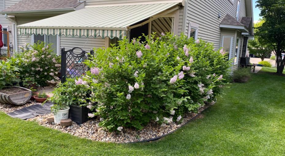 Homes for sale in Northfield, MN | 1726 Sunset Dr, Northfield, MN 55057 | MLS# 7017701