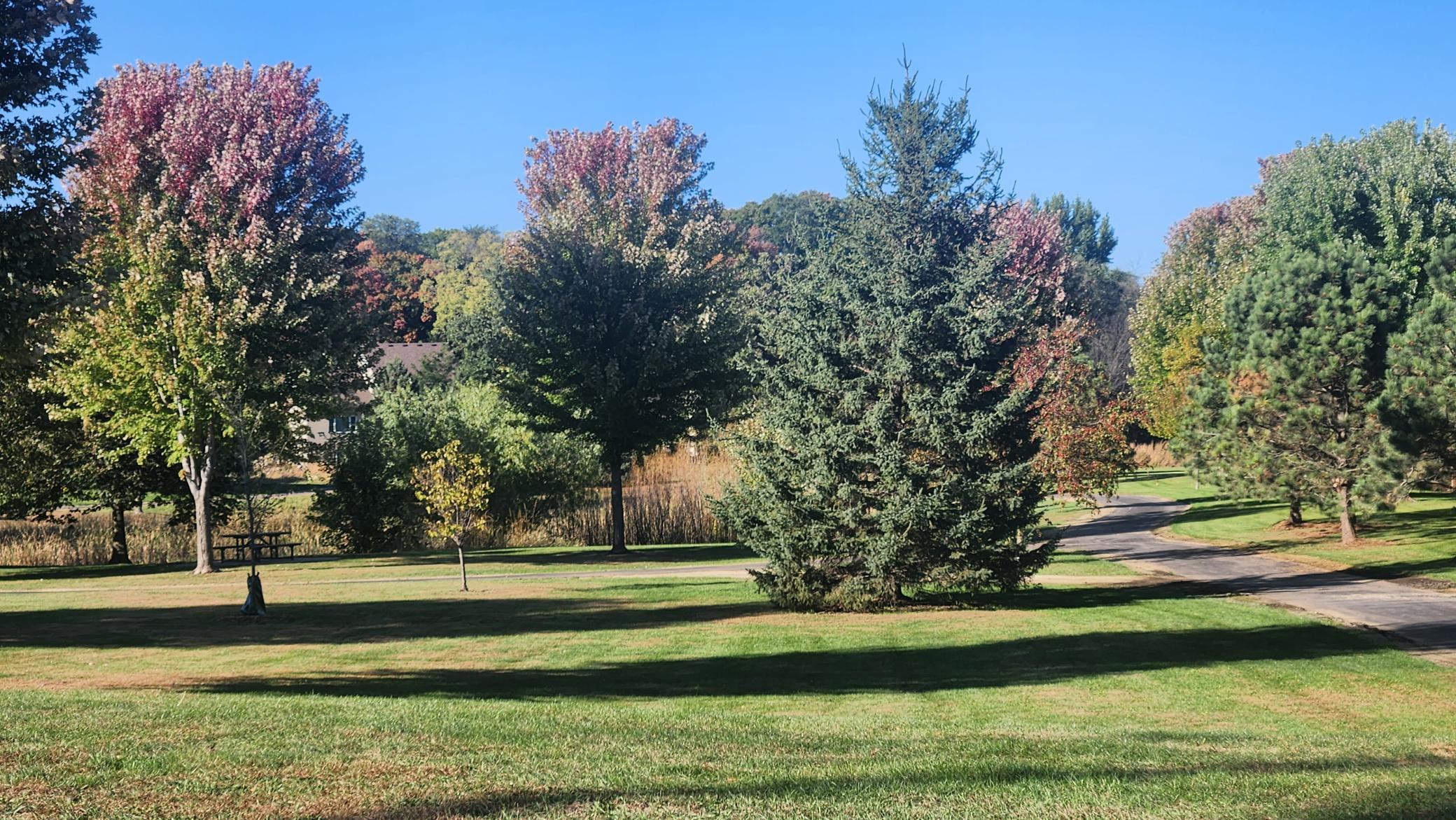 46th image of 11419 17th St Ne, Saint Michael, MN 55376 | MLS# 7017831