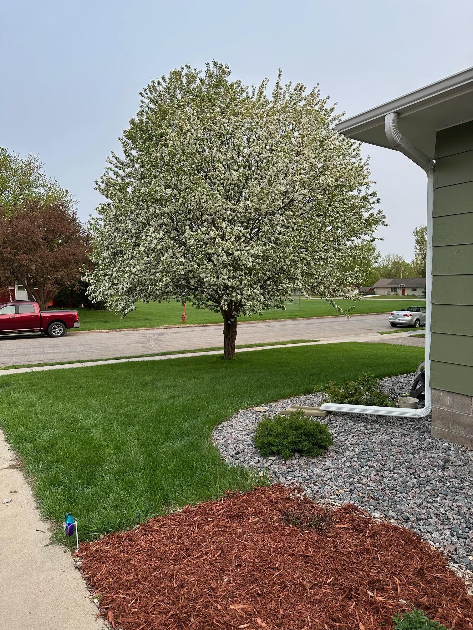 Homes for sale in Brainerd, MN | 1302 10Th Ave Ne, Brainerd, MN 56401 | MLS# 7018768