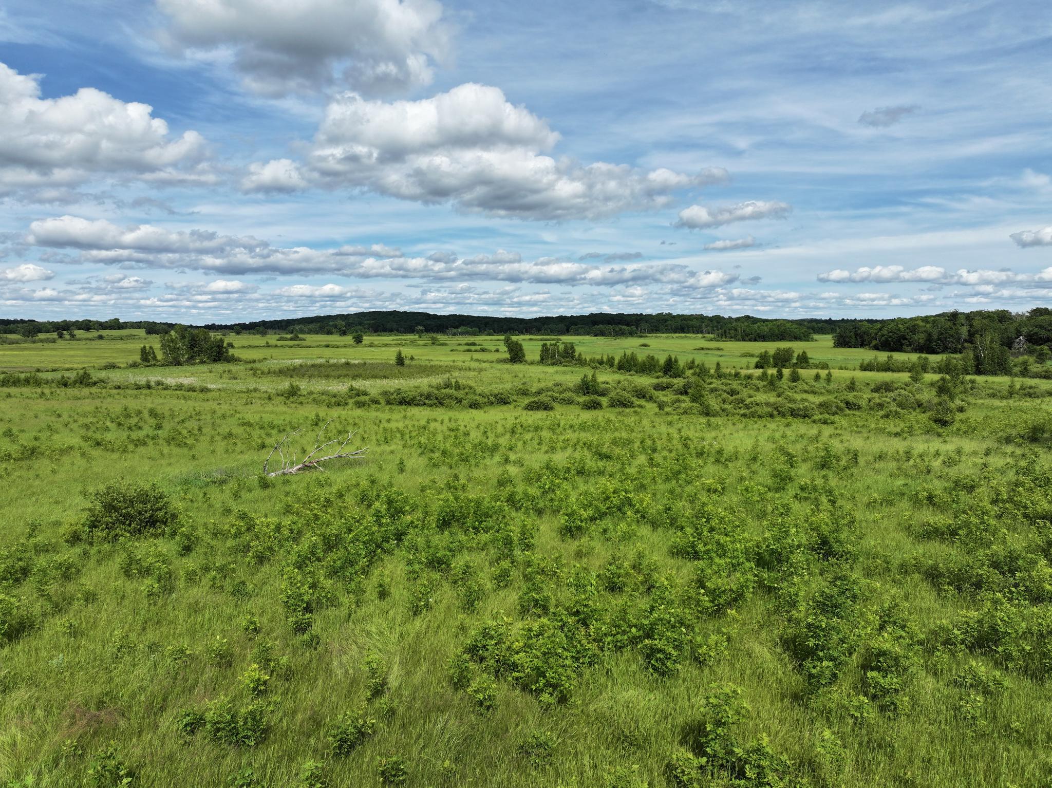 Homes for sale in Pequot Lakes, MN | 9884 County Road 1 Sw, Pequot Lakes, MN 56472 | MLS# 7019522