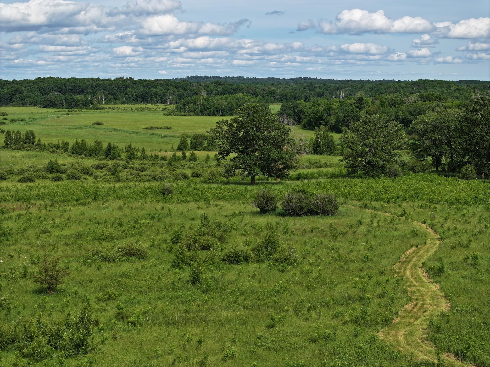 Homes for sale in Pequot Lakes, MN | 9884 County Road 1 Sw, Pequot Lakes, MN 56472 | MLS# 7019522