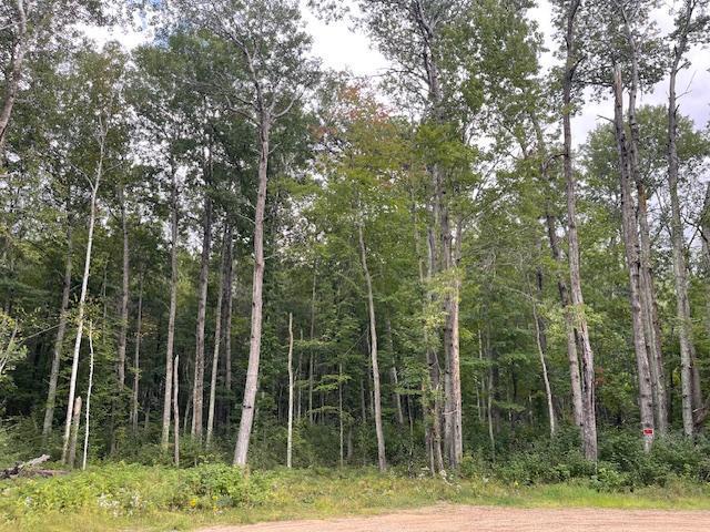 3rd image of 0 Levi Ln, Crosslake, MN 56442 | MLS# 7020079