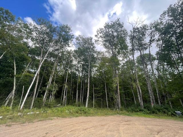 2nd image of 0 Levi Ln, Crosslake, MN 56442 | MLS# 7020079