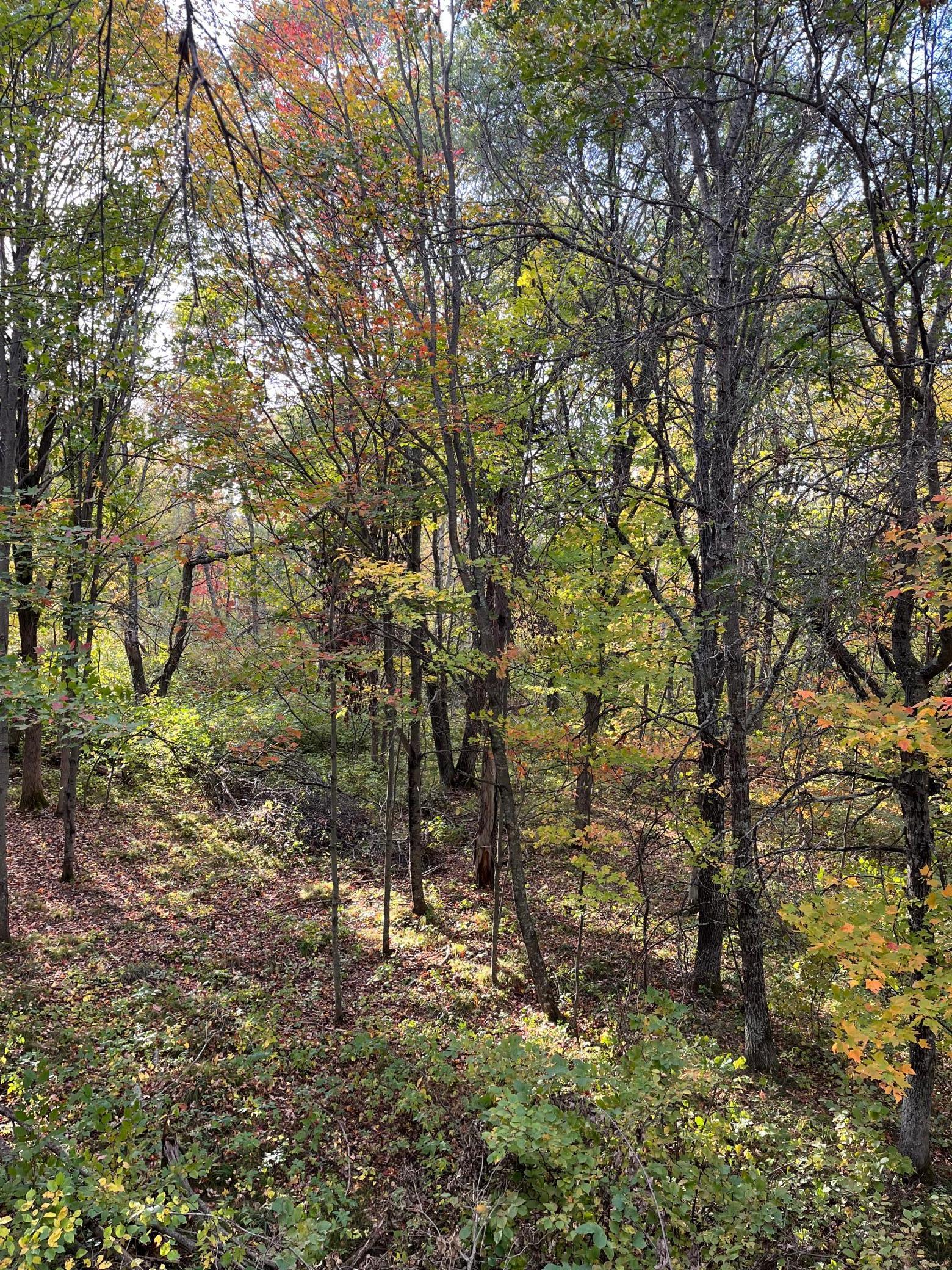 1st image of 0 Levi Ln, Crosslake, MN 56442 | MLS# 7020079