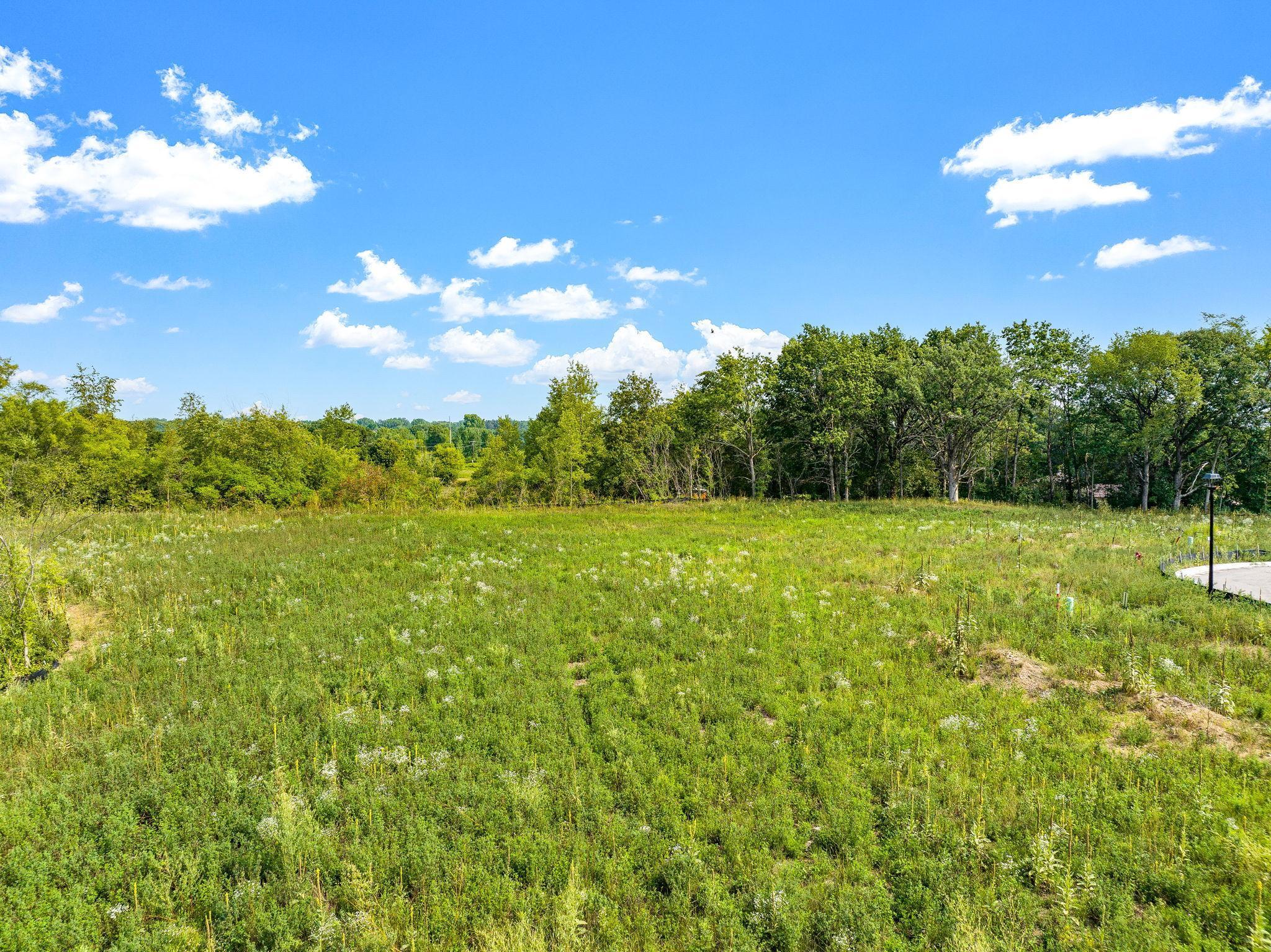 Homes for sale in Rosemount, MN | 2337 136th Ct W, Rosemount, MN 55068 | MLS# 7021352