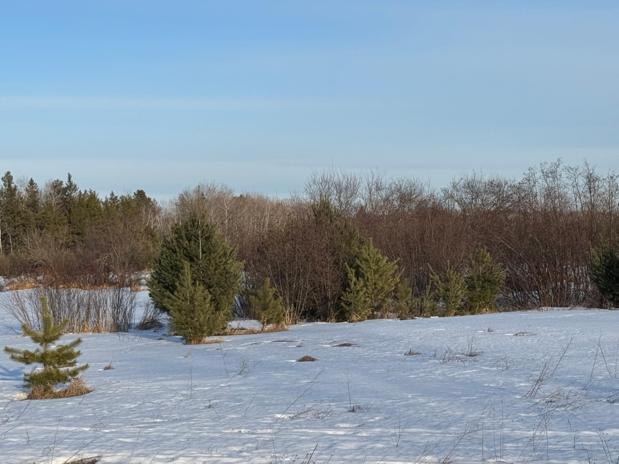 Homes for sale in Finlayson, MN | Tbd Scotch Pine Rd, Finlayson, MN 55735 | MLS# 7022826
