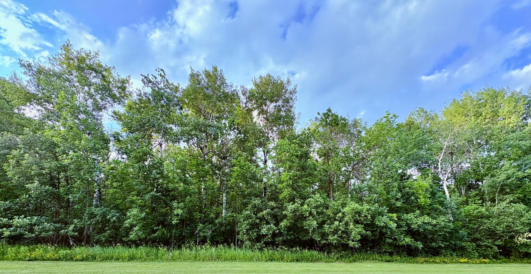 Homes for sale in Warroad, MN | Tbd Minnesota Ave Ne, Warroad, MN 56763 | MLS# 7022980