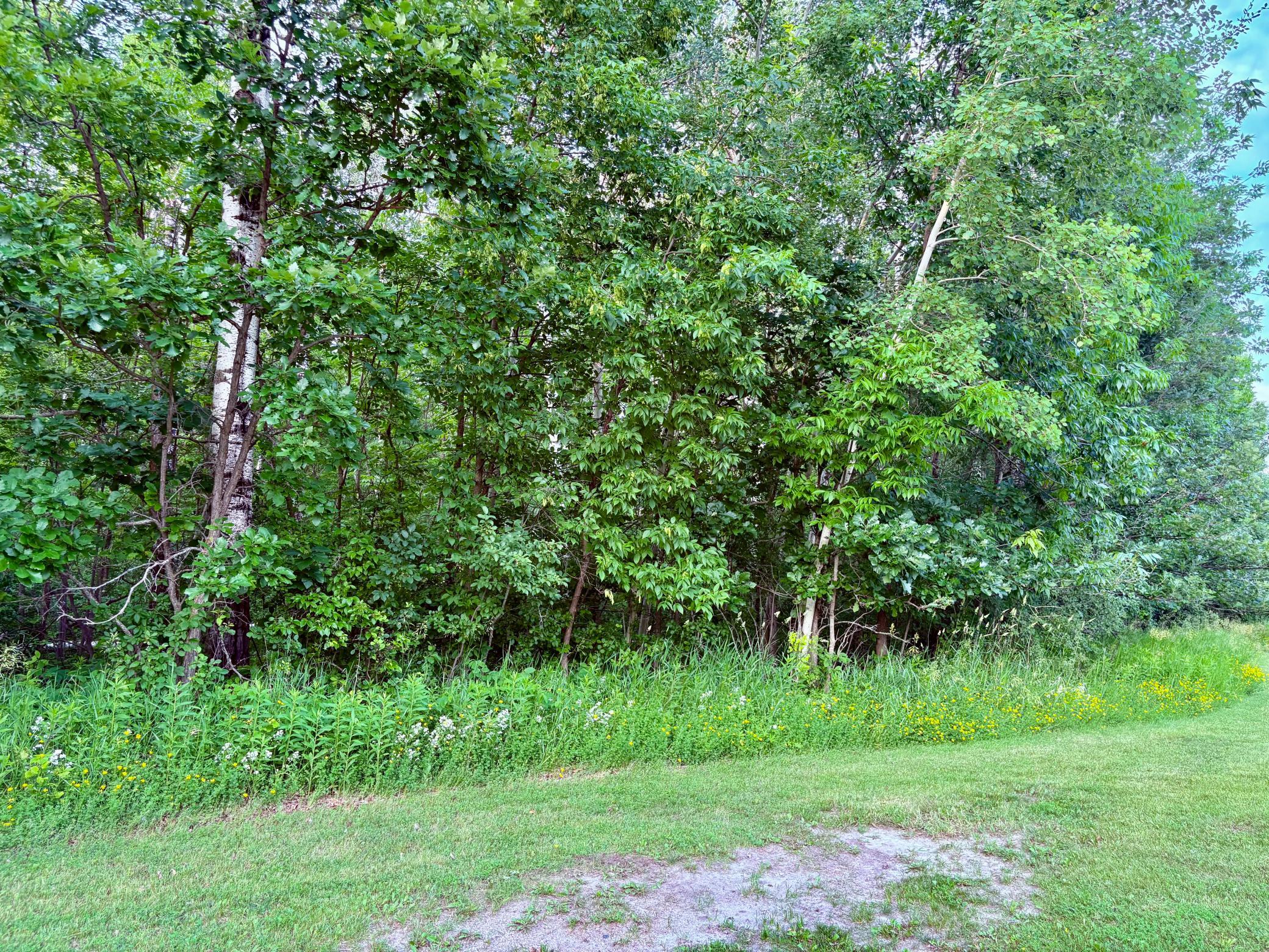 Homes for sale in Warroad, MN | Tbd Minnesota Ave Ne, Warroad, MN 56763 | MLS# 7022980