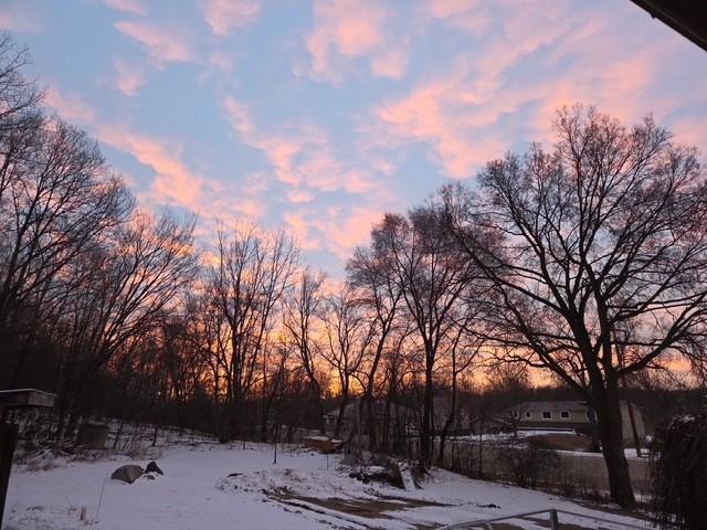 36th image of 19823 Roberds Lake Blvd, Faribault, MN 55021 | MLS# 7024457