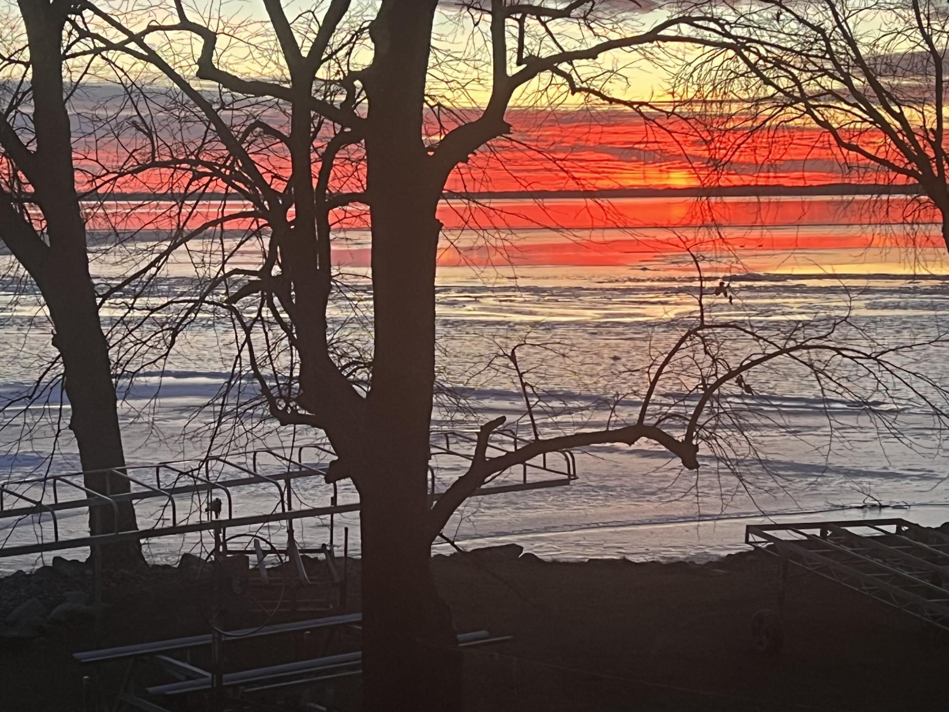 Homes for sale in Spicer, MN | 12797 Old North Shore Dr, Spicer, MN 56288 | MLS# 7027615