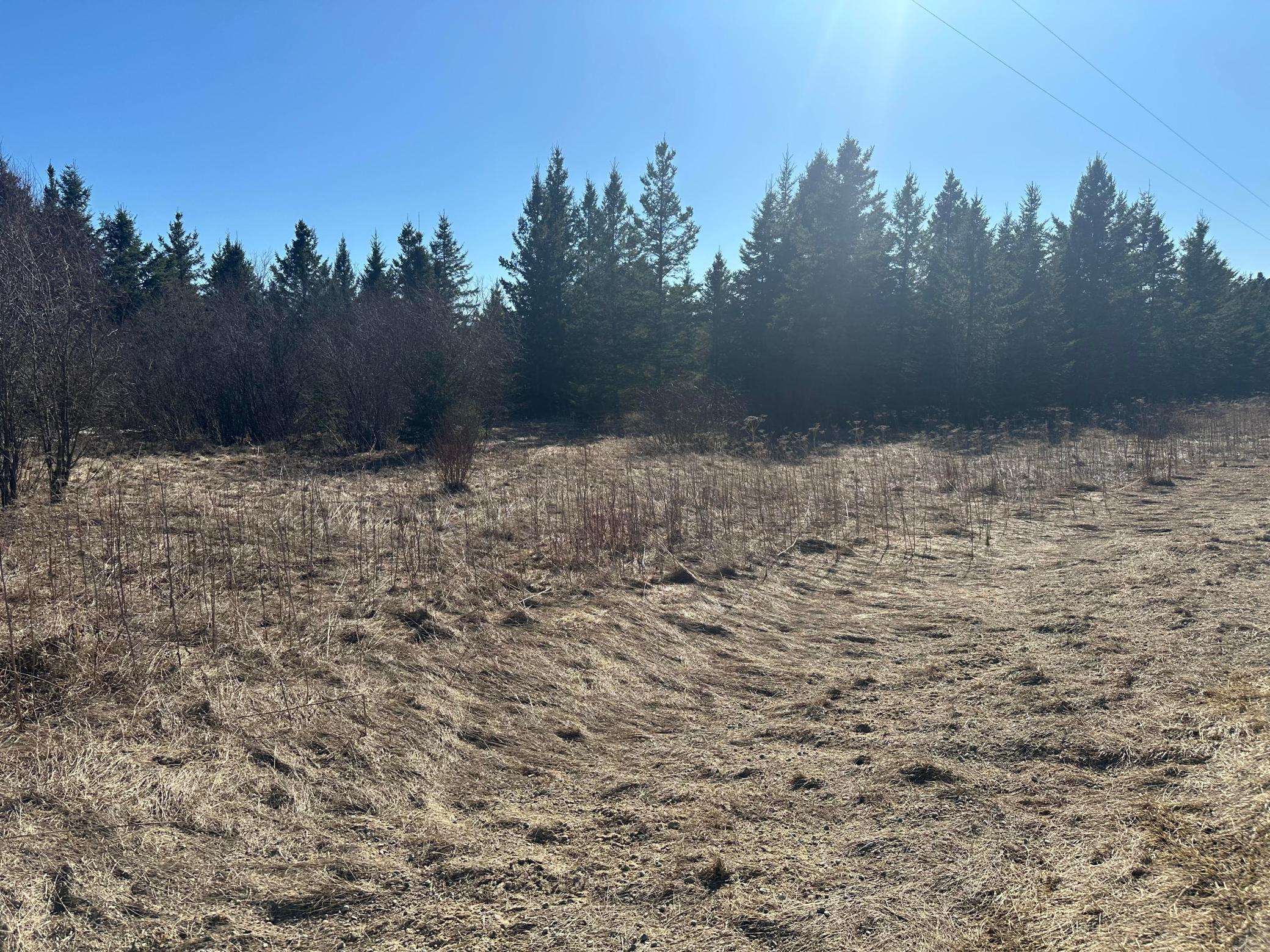 Homes for sale in Northome, MN | Tbd County Road 31, Northome, MN 56661 | MLS# 7027733