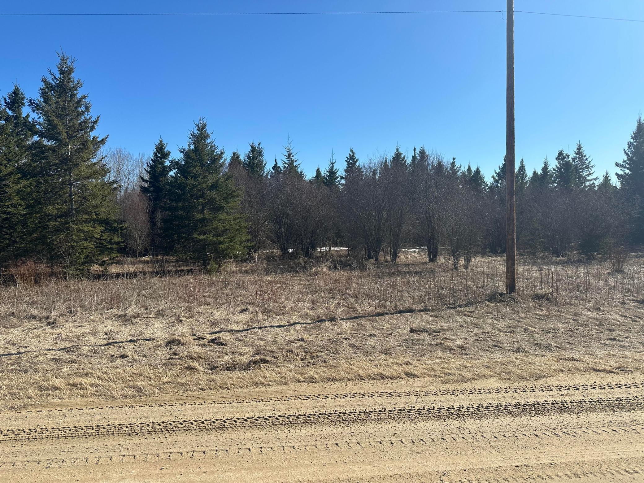 Homes for sale in Northome, MN | Tbd County Road 31, Northome, MN 56661 | MLS# 7027733