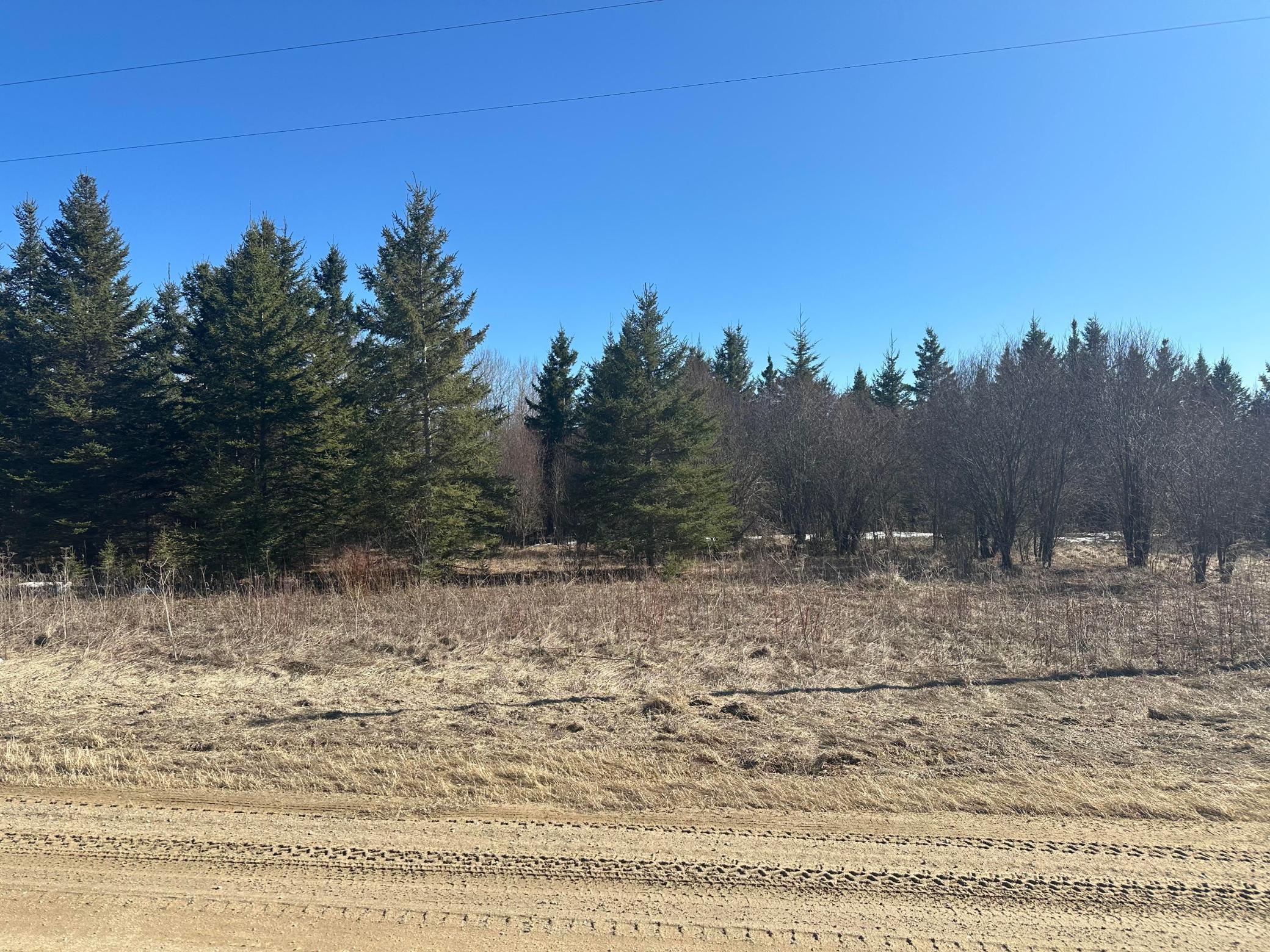 Homes for sale in Northome, MN | Tbd County Road 31, Northome, MN 56661 | MLS# 7027733