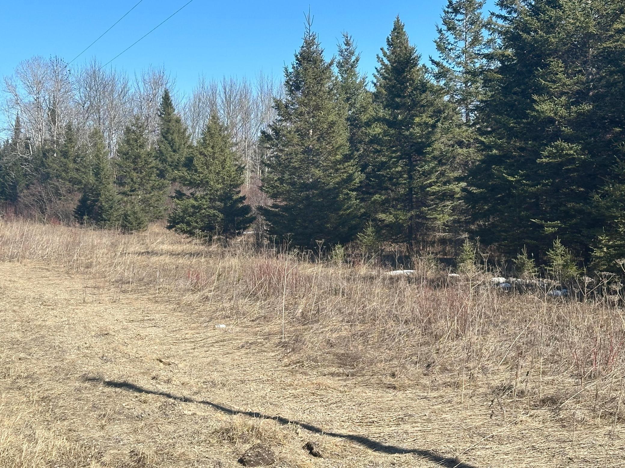 Homes for sale in Northome, MN | Tbd County Road 31, Northome, MN 56661 | MLS# 7027733