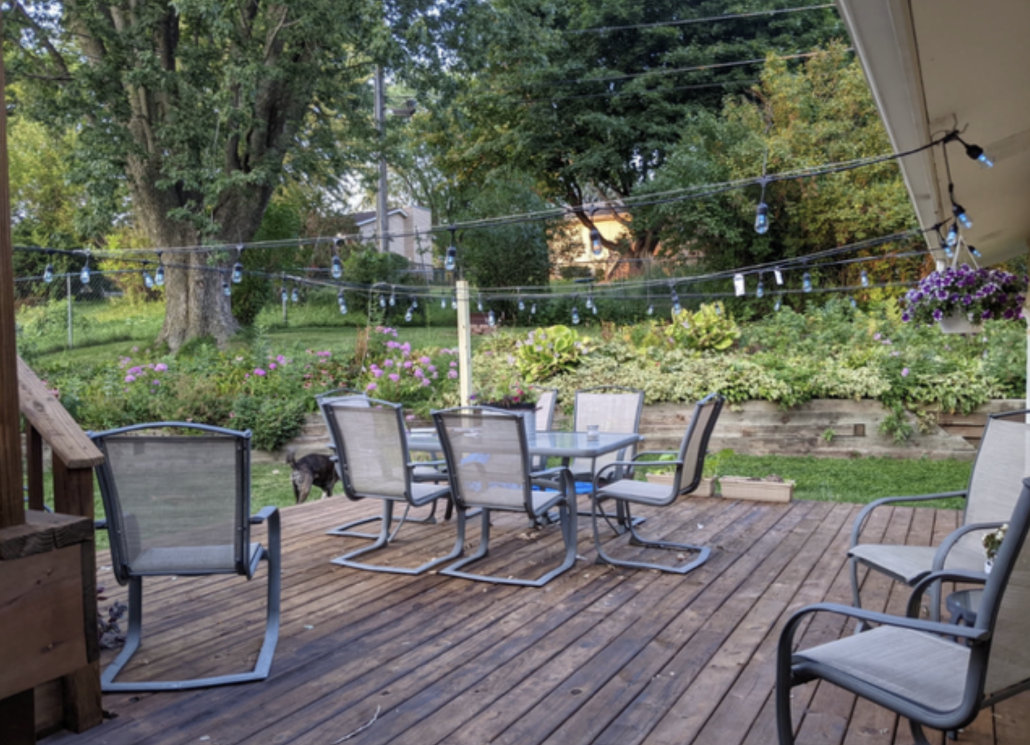 Homes for sale in Byron, MN | 926 Byron Ave N, Byron, MN 55920 | MLS# 7028673