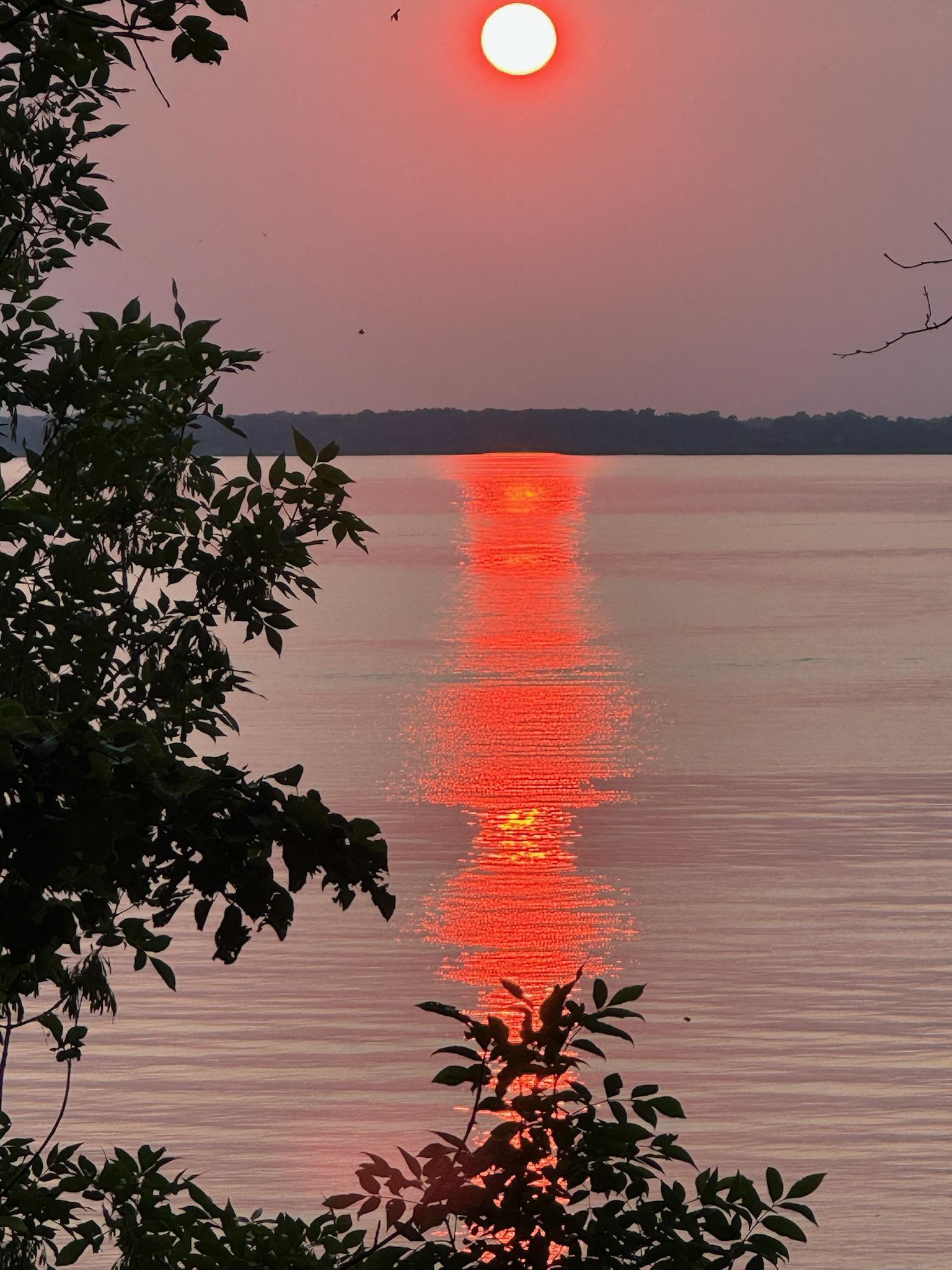 Homes for sale in Vergas, MN | 26355 Maplehurst Dr, Vergas, MN 56587 | MLS# 7028767