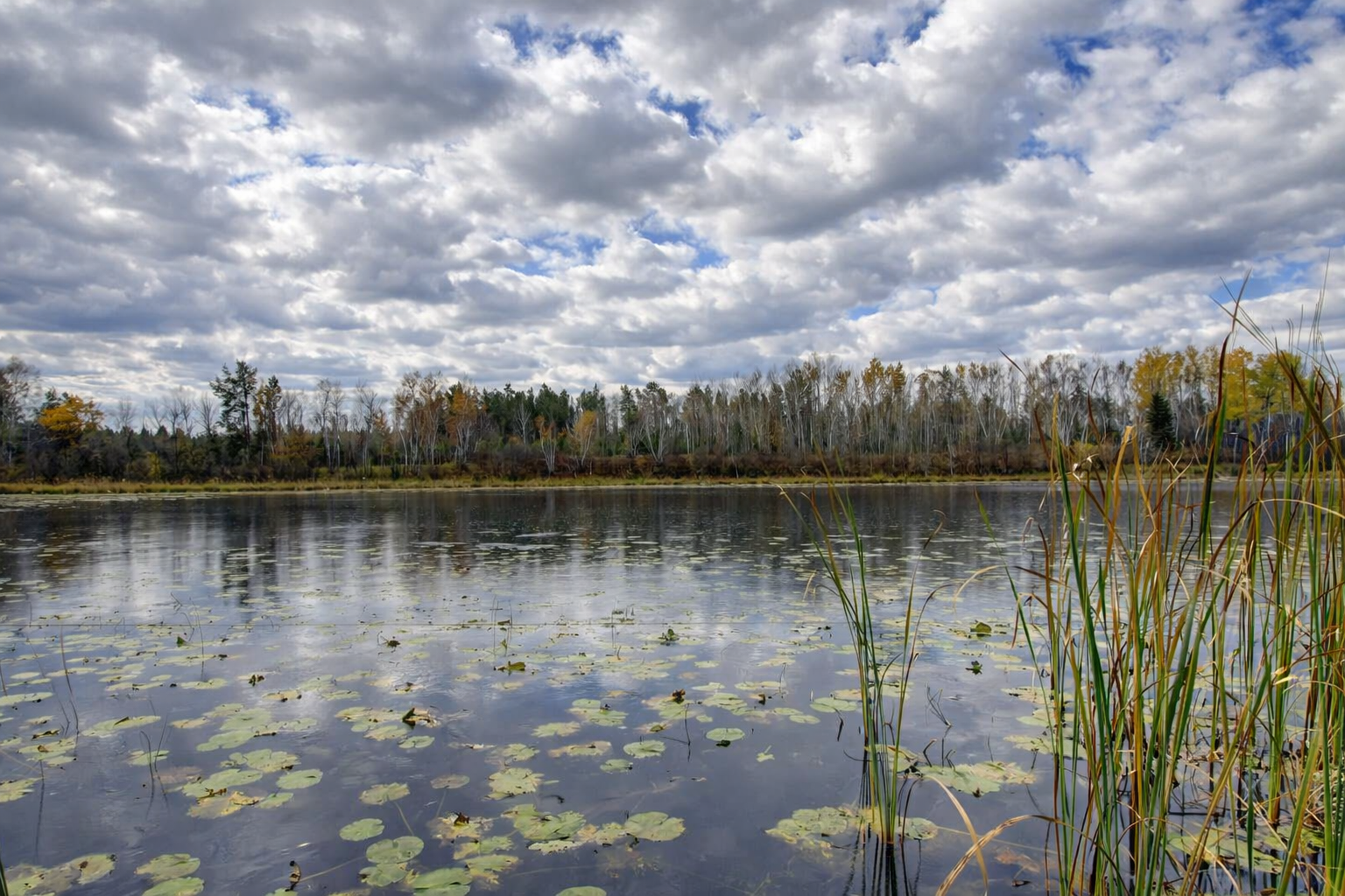 5th image of 10675 County 41, Park Rapids, MN 56470 | MLS# 7030384