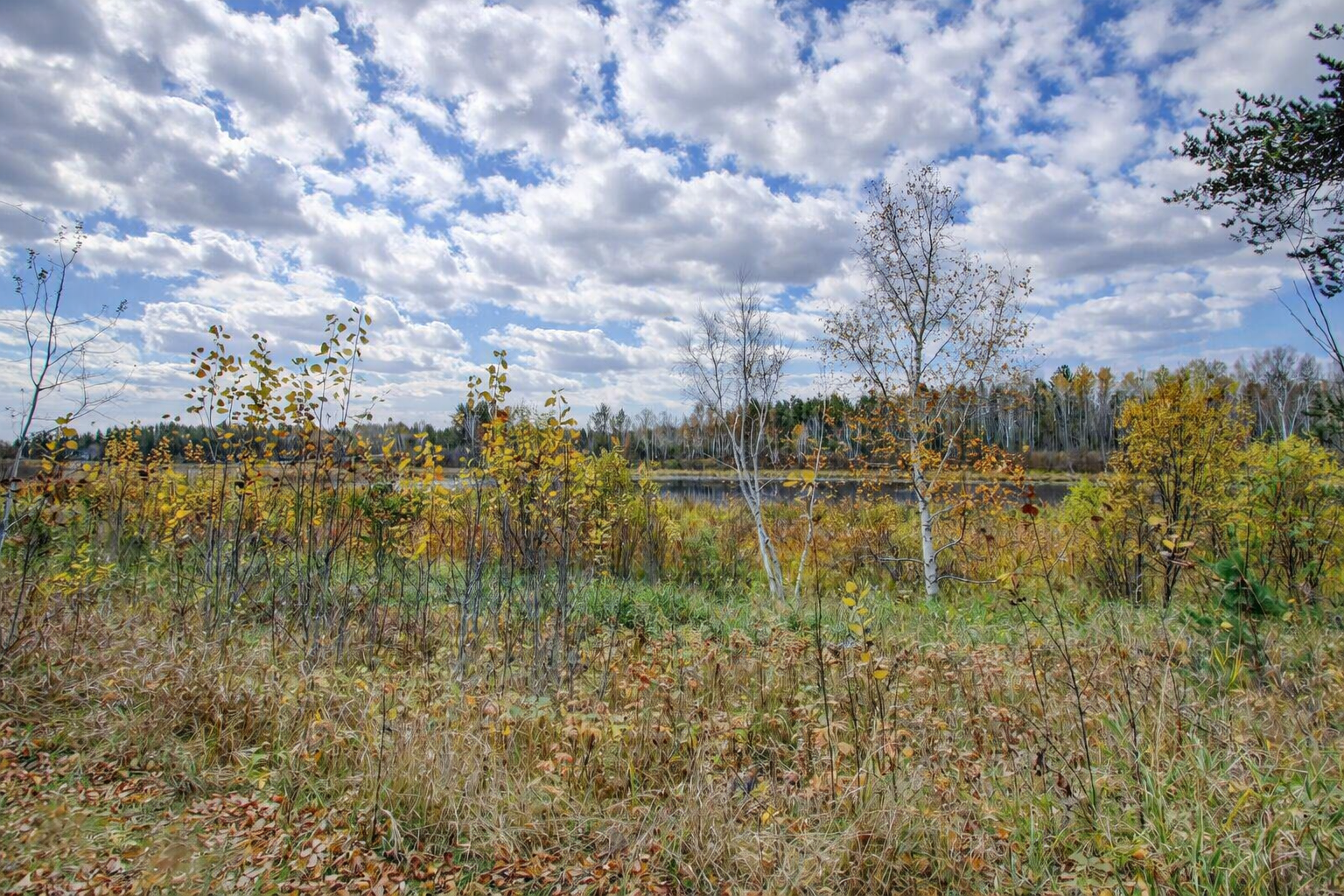 41st image of 10675 County 41, Park Rapids, MN 56470 | MLS# 7030384