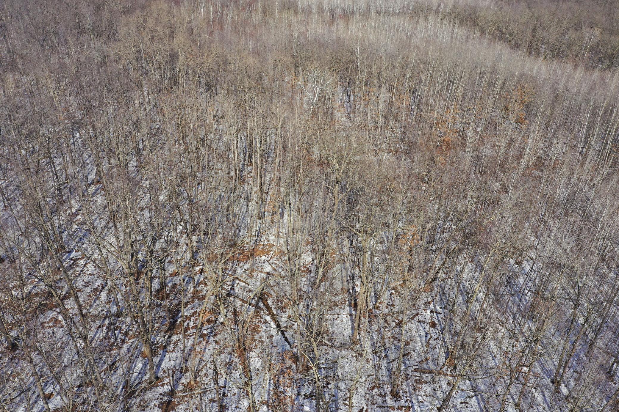 Homes for sale in Chetek, WI | 27xx 11th Ave, Chetek, WI 54728 | MLS# 7030416