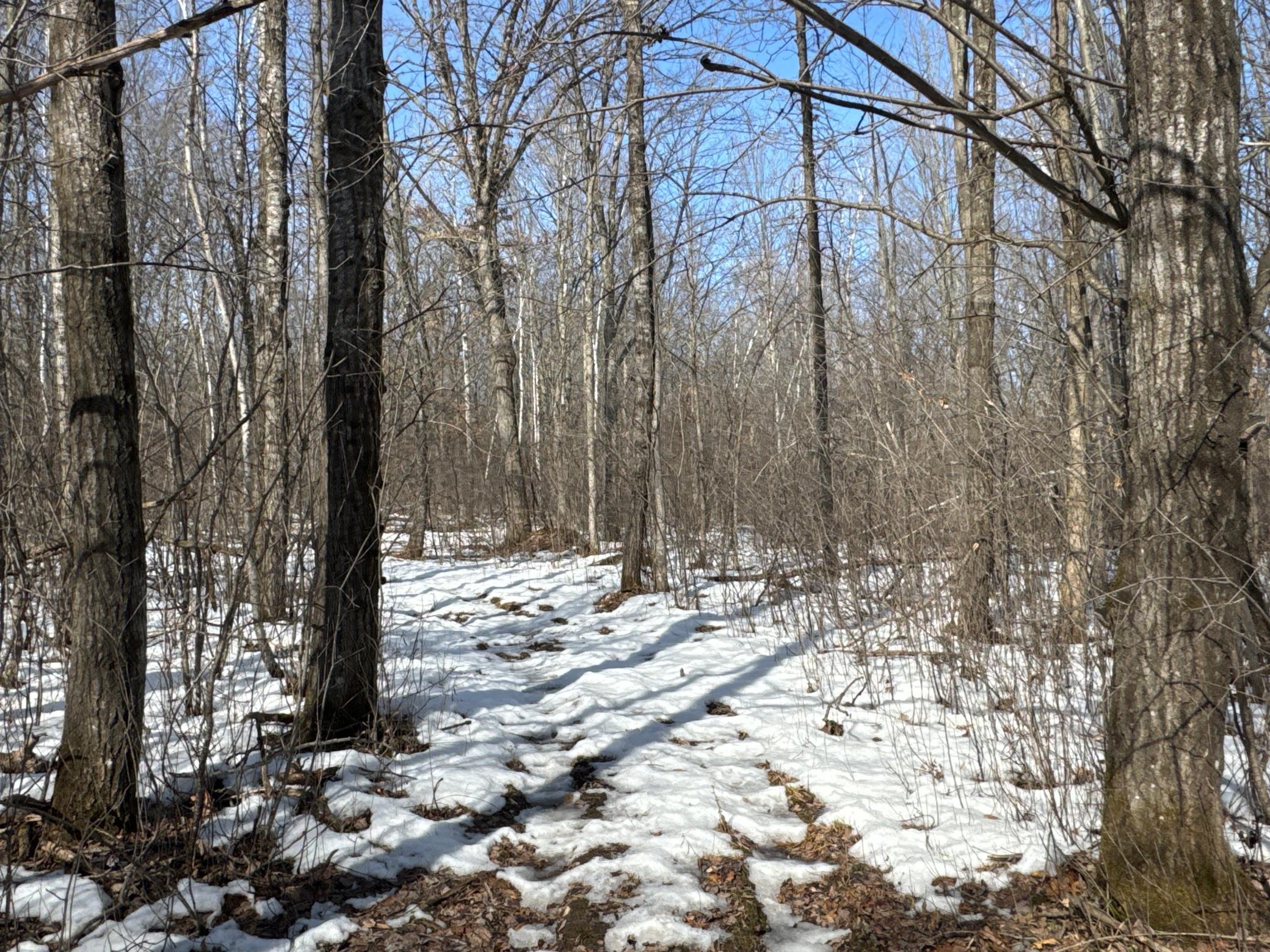 Homes for sale in Chetek, WI | 27xx 11th Ave, Chetek, WI 54728 | MLS# 7030416