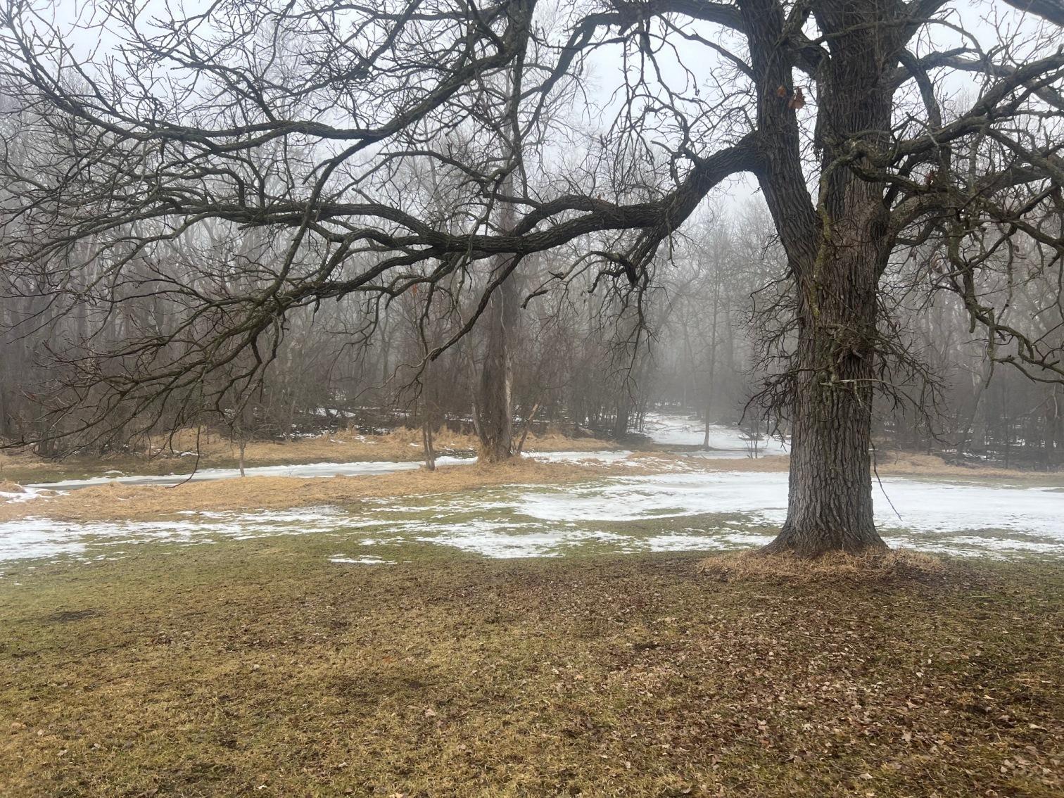 Homes for sale in Litchfield, MN | 21701 575th Ave, Litchfield, MN 55355 | MLS# 7030694