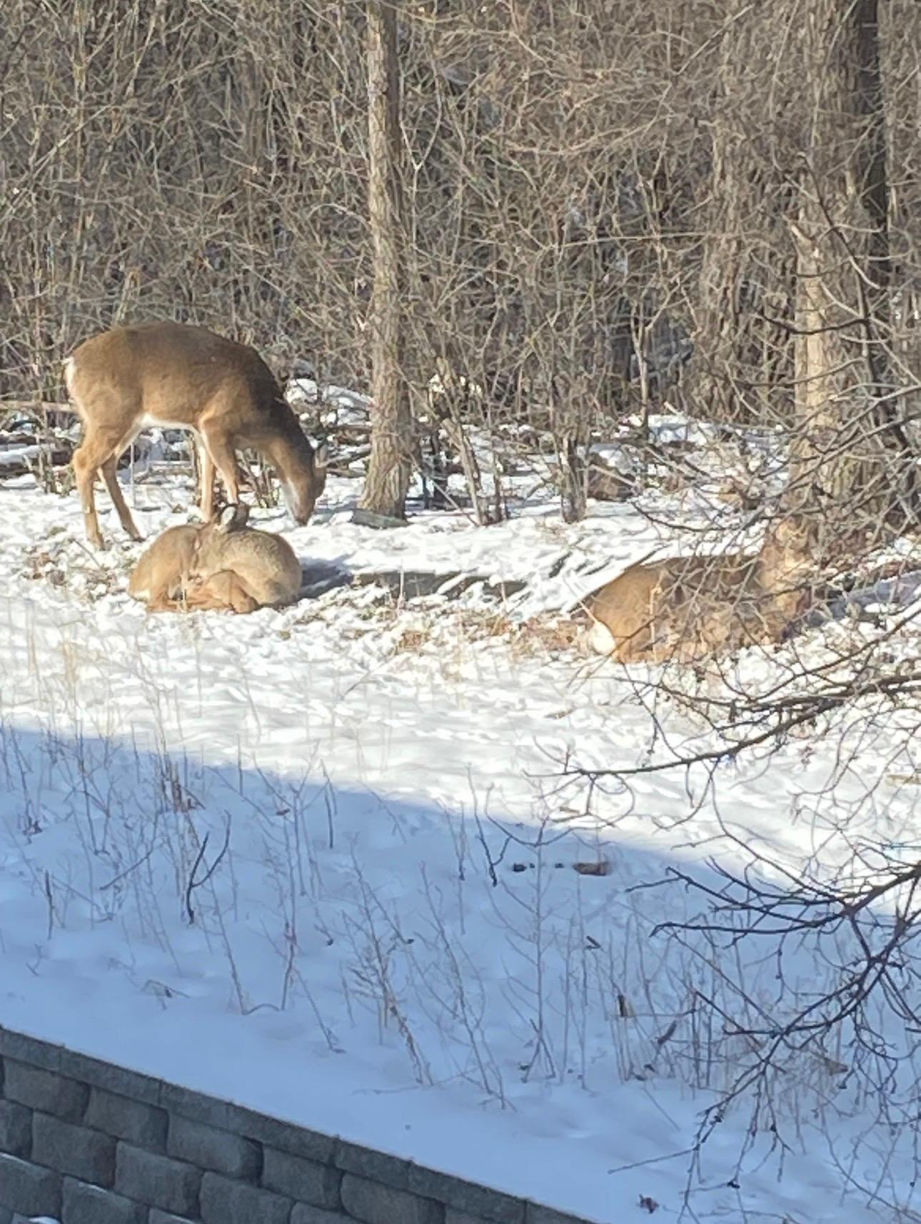 Homes for sale in Eagan, MN | 1621 City View Dr, Eagan, MN 55121 | MLS# 7030857