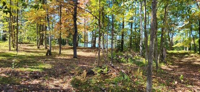 Homes for sale in Finlayson, MN | 65770 Big Pine Rd, Finlayson, MN 55735 | MLS# 7031460