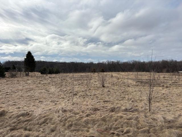 Homes for sale in Taylors Falls, MN | 196xx 346th, Taylors Falls, MN 55084 | MLS# 7031488