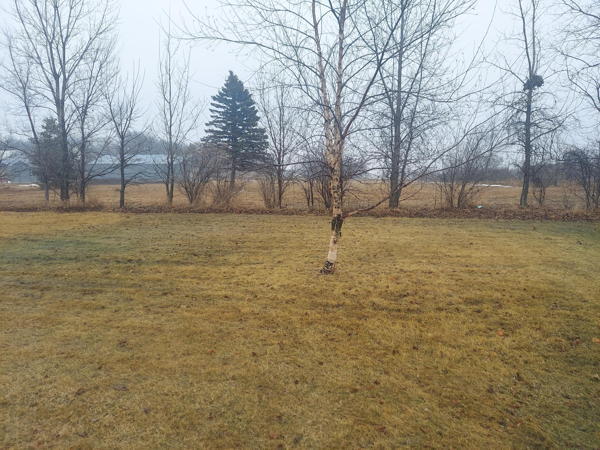 Homes for sale in Sartell, MN | 2084 Sandstone Loop N, Sartell, MN 56377 | MLS# 7032621