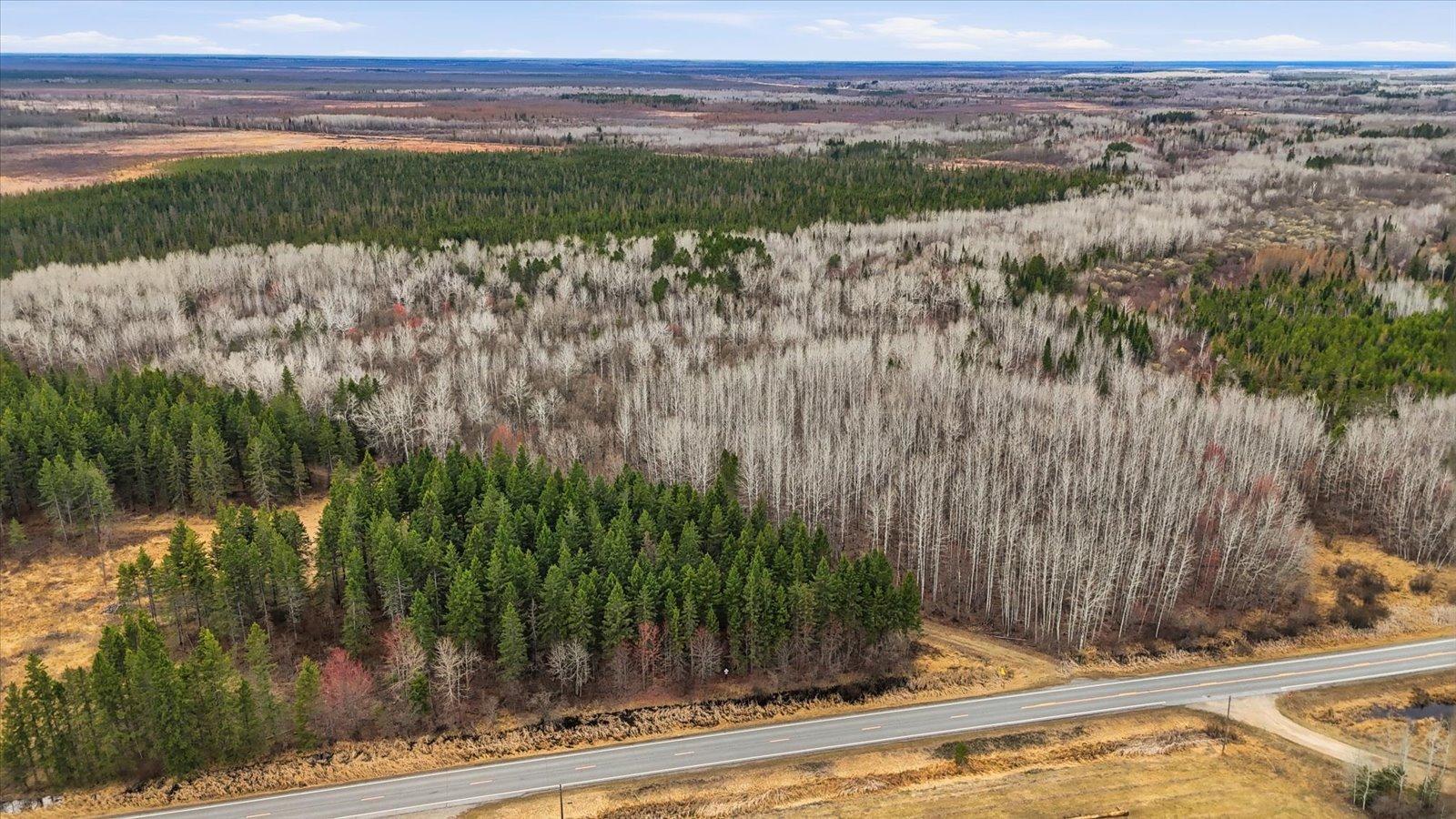 Homes for sale in Big Falls, MN | Tbd Town Road #55, Big Falls, MN 56627 | MLS# 7032979
