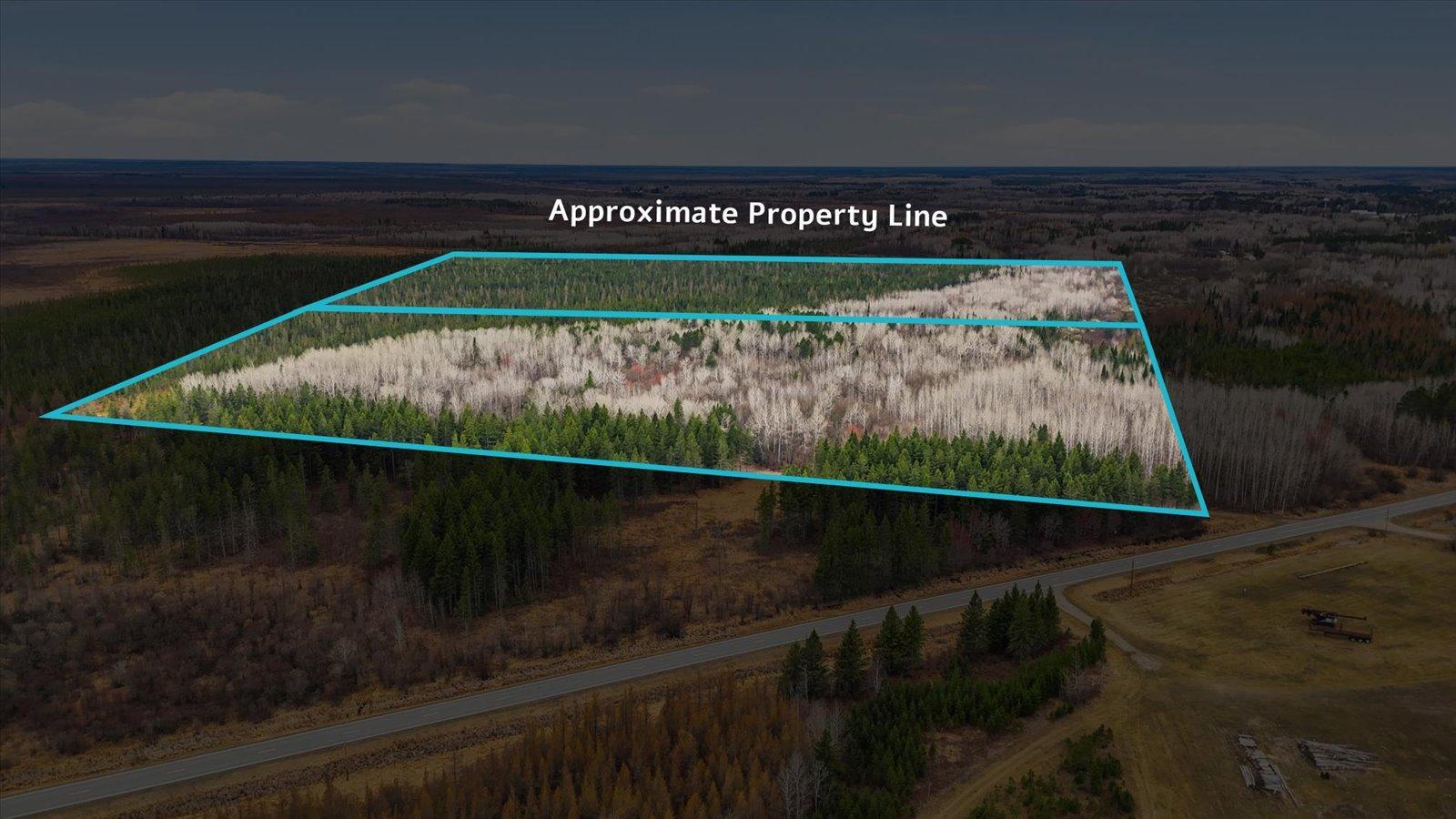 Homes for sale in Big Falls, MN | Tbd Town Road #55, Big Falls, MN 56627 | MLS# 7032979